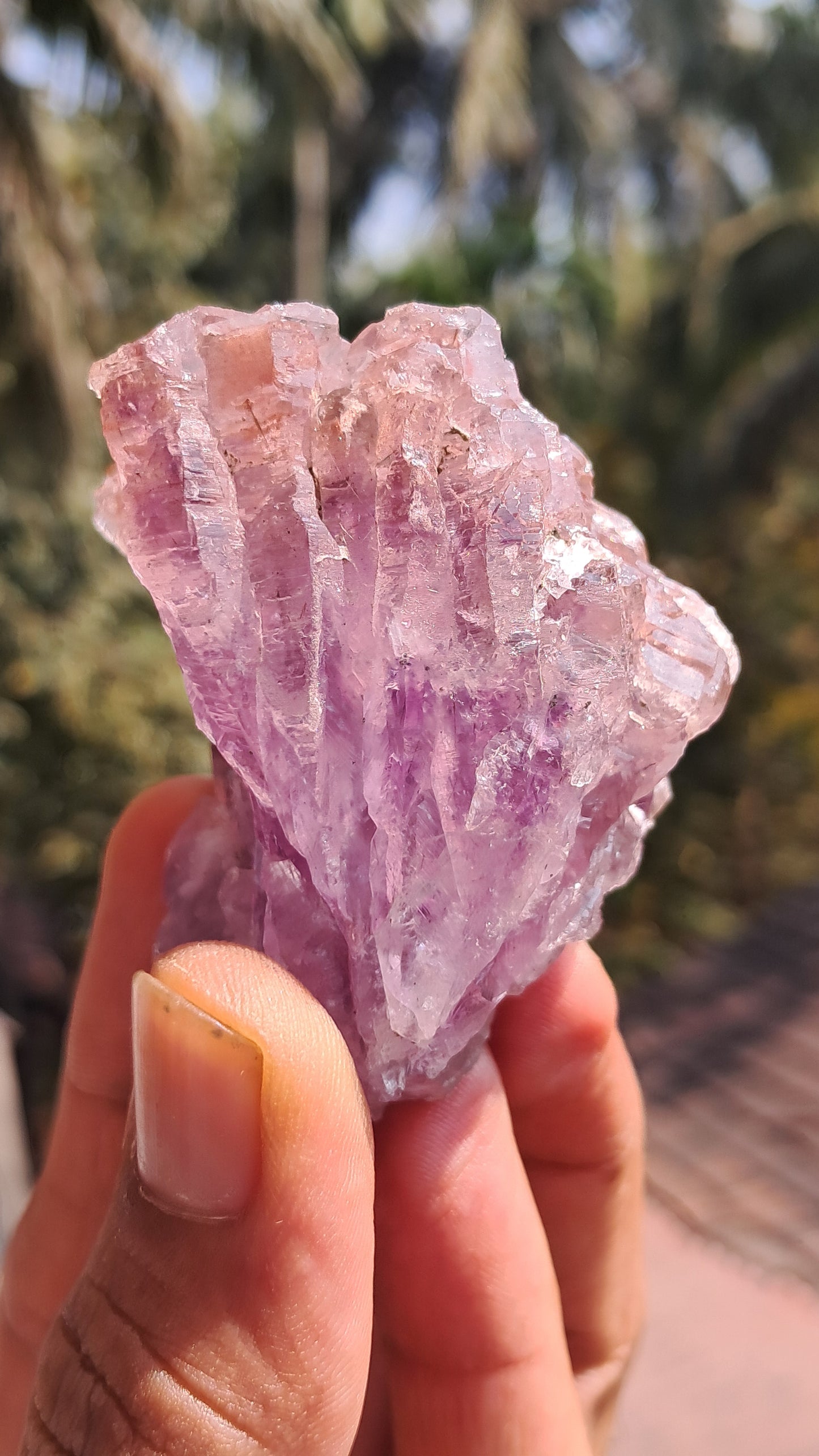Karur Amethyst Scepter Cluster | Honeycomb Terminations | "Super Seven" inclusions | Mineral Specimen #KA186