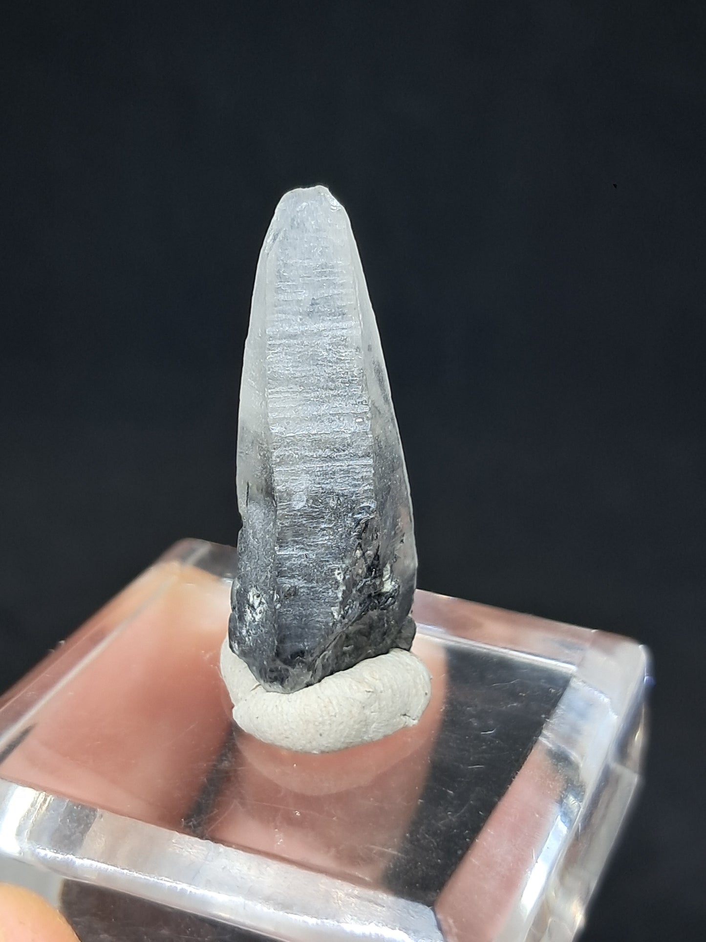Punta de Cuarzo Turmalinado (Karur) Cristal Natural | Muestra Mineral #TQ34