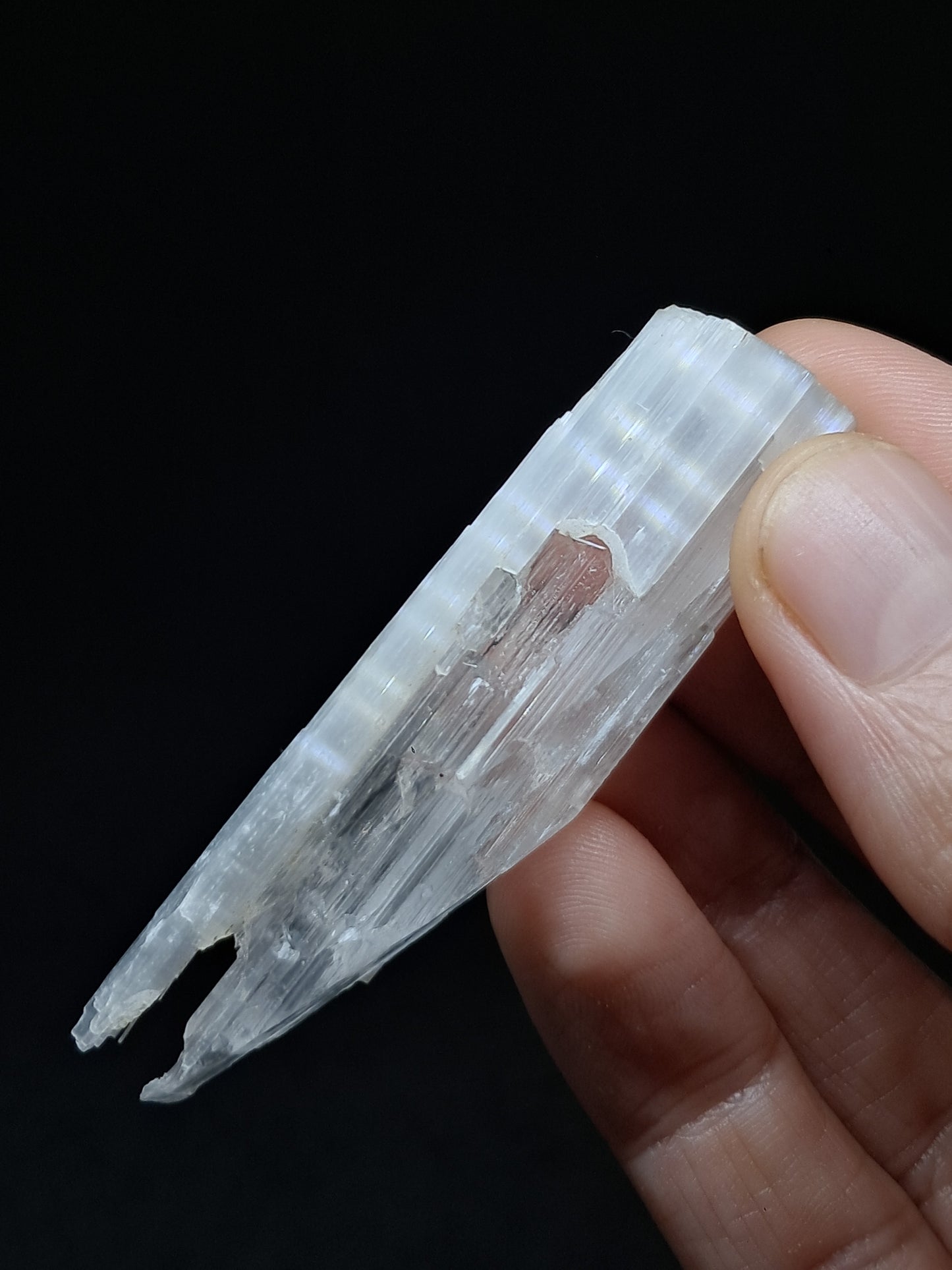 Satin Spar *Selenite* (India) Fibrous Gypsum | Mineral Specimen | Rough Crystal #SE5