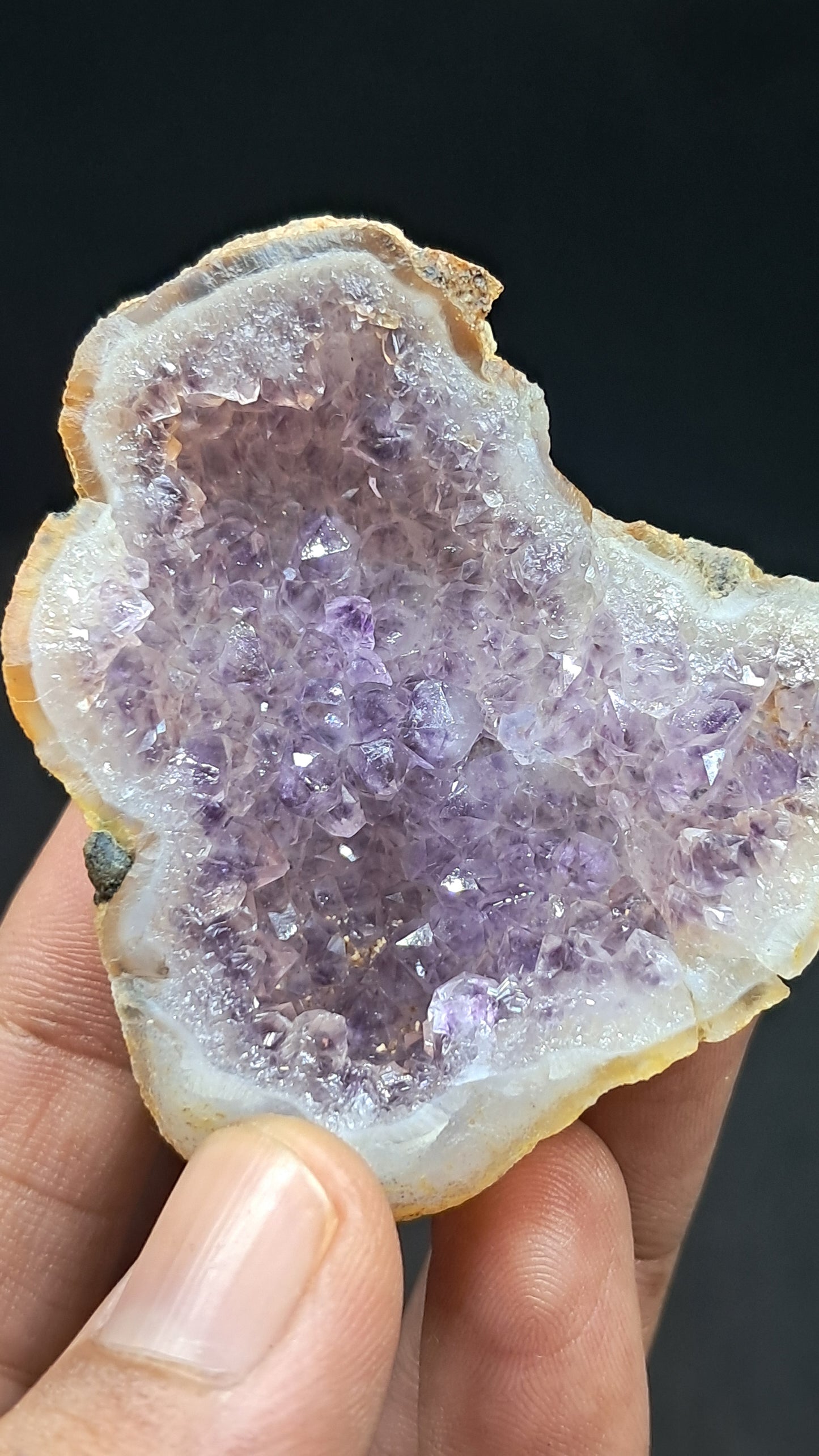Amethyst Geode (Ajanta) | Deep Cavity | Natural Crystal | Rough Stone #GD35