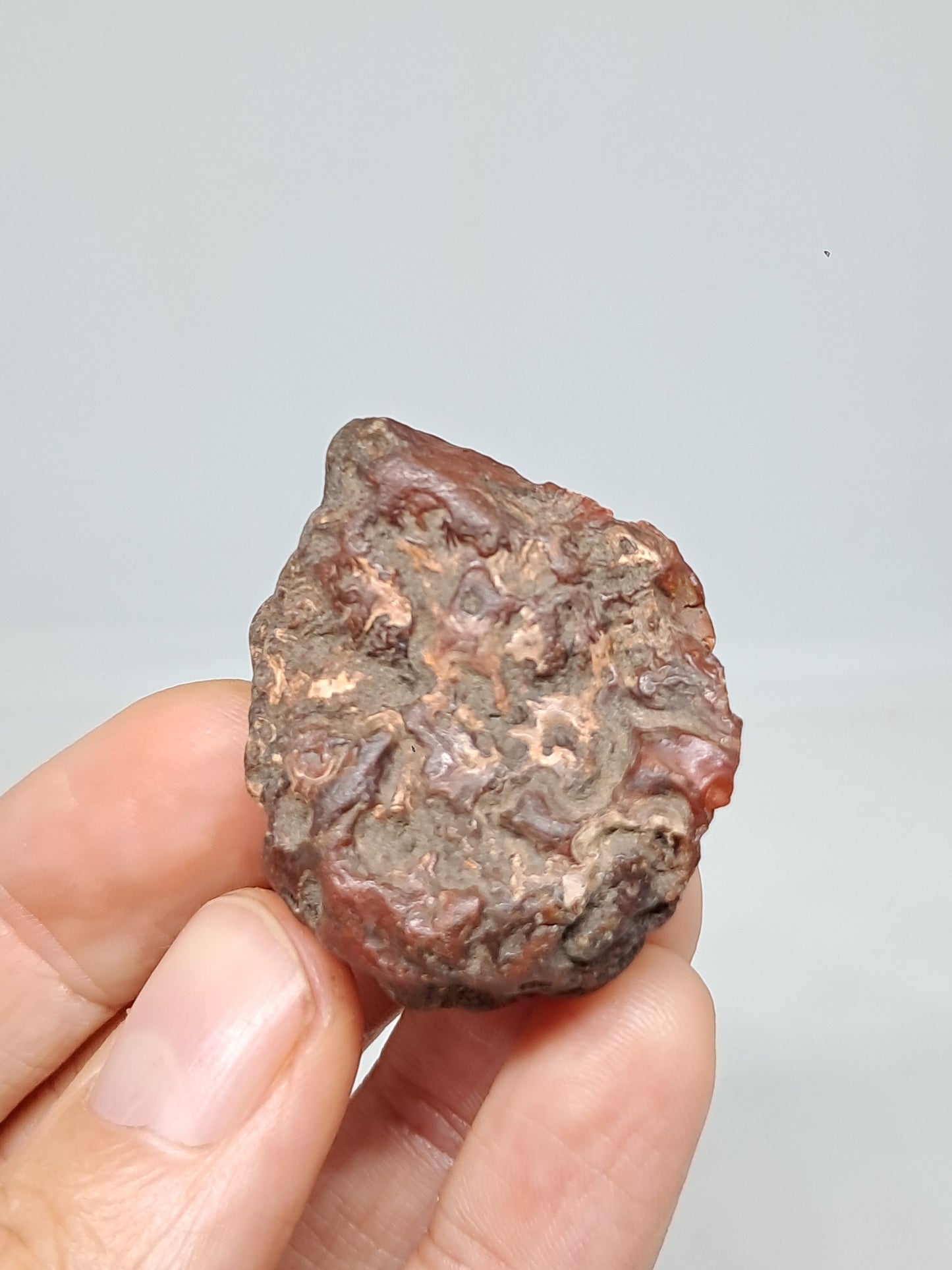 Cornalina en bruto (India) Piedra en bruto | Cristal natural | Muestra mineral #CRN36