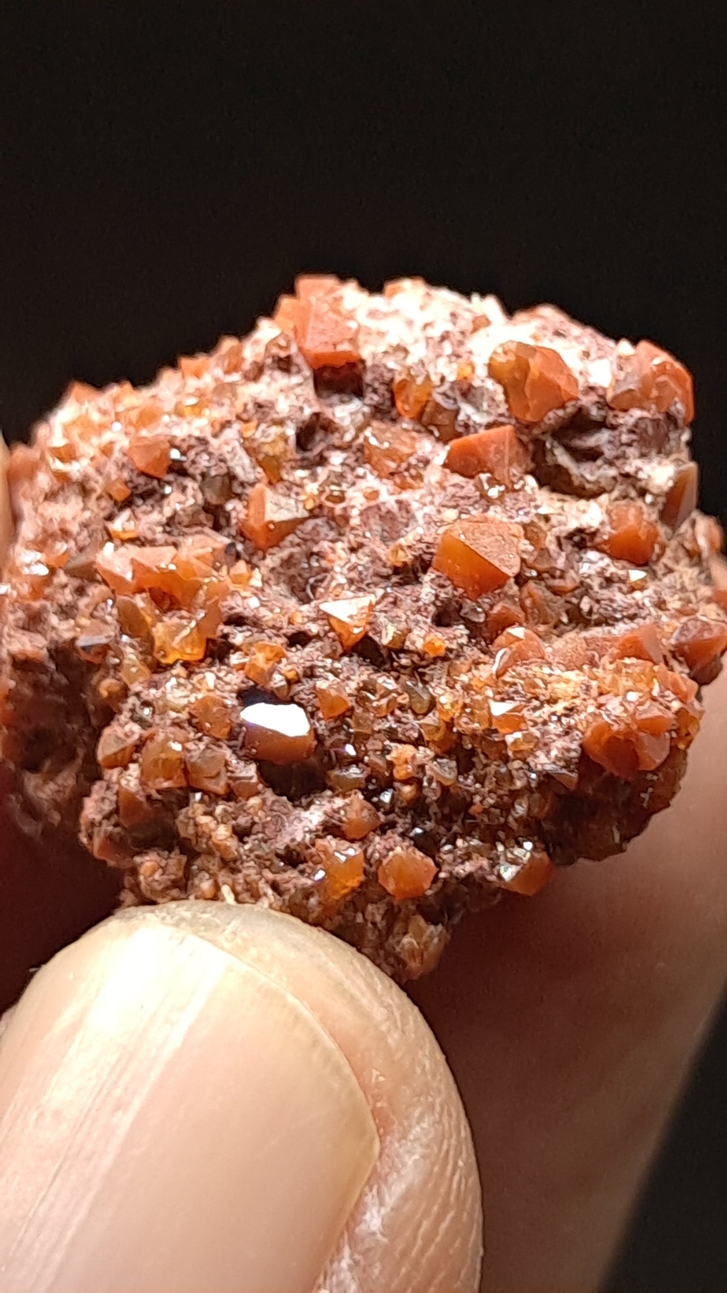 Jacinto de Compostela Quartz On Matrix | Natural Crystal | Mineral Specimen #JCQ9