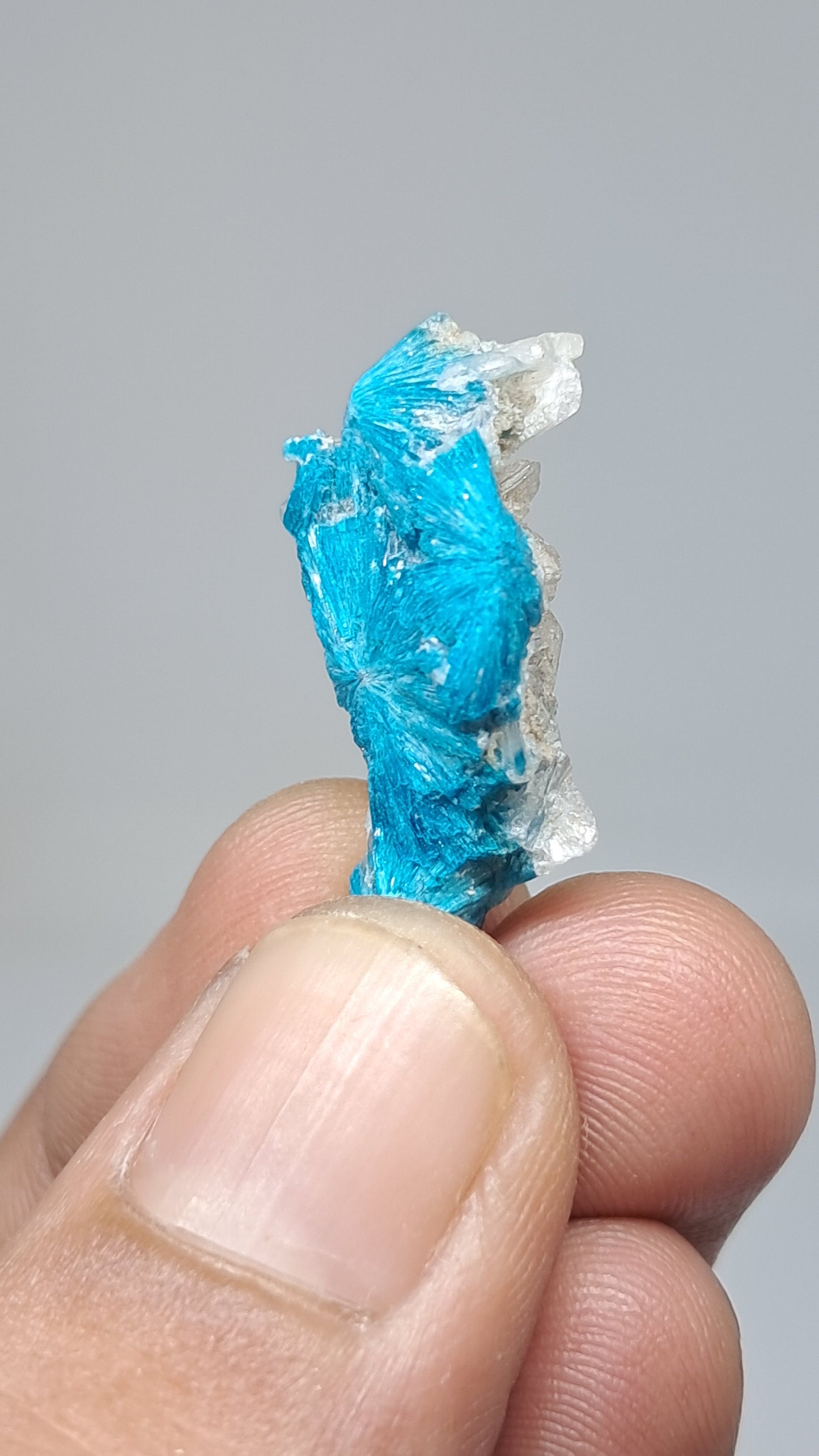 Flores de cavansita sobre matriz de estilbita (Wagholi) Cristal en bruto | Piedra natural | Ejemplar de mineral raro #CV63