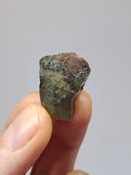 Natural Green Pink Sapphire Crystal (Karur) Rough Stone | Bicolor | Mineral Specimen #SP33