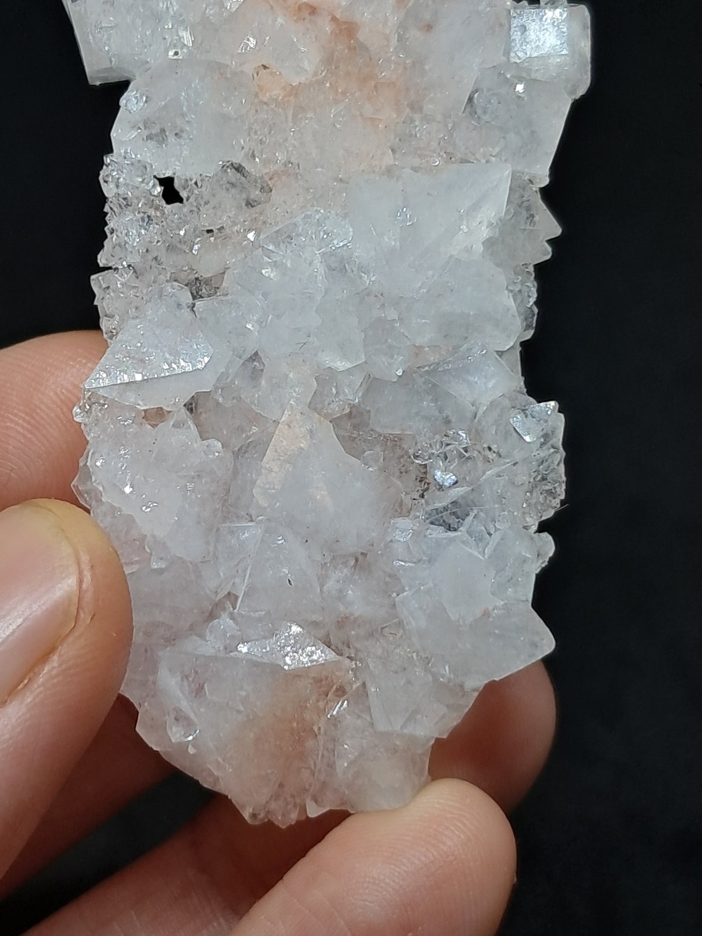 Octahedral Apophyllite Floater Cluster w/ Hematite (Ajanta) Natural Crystal | Mineral Specimen #AP33