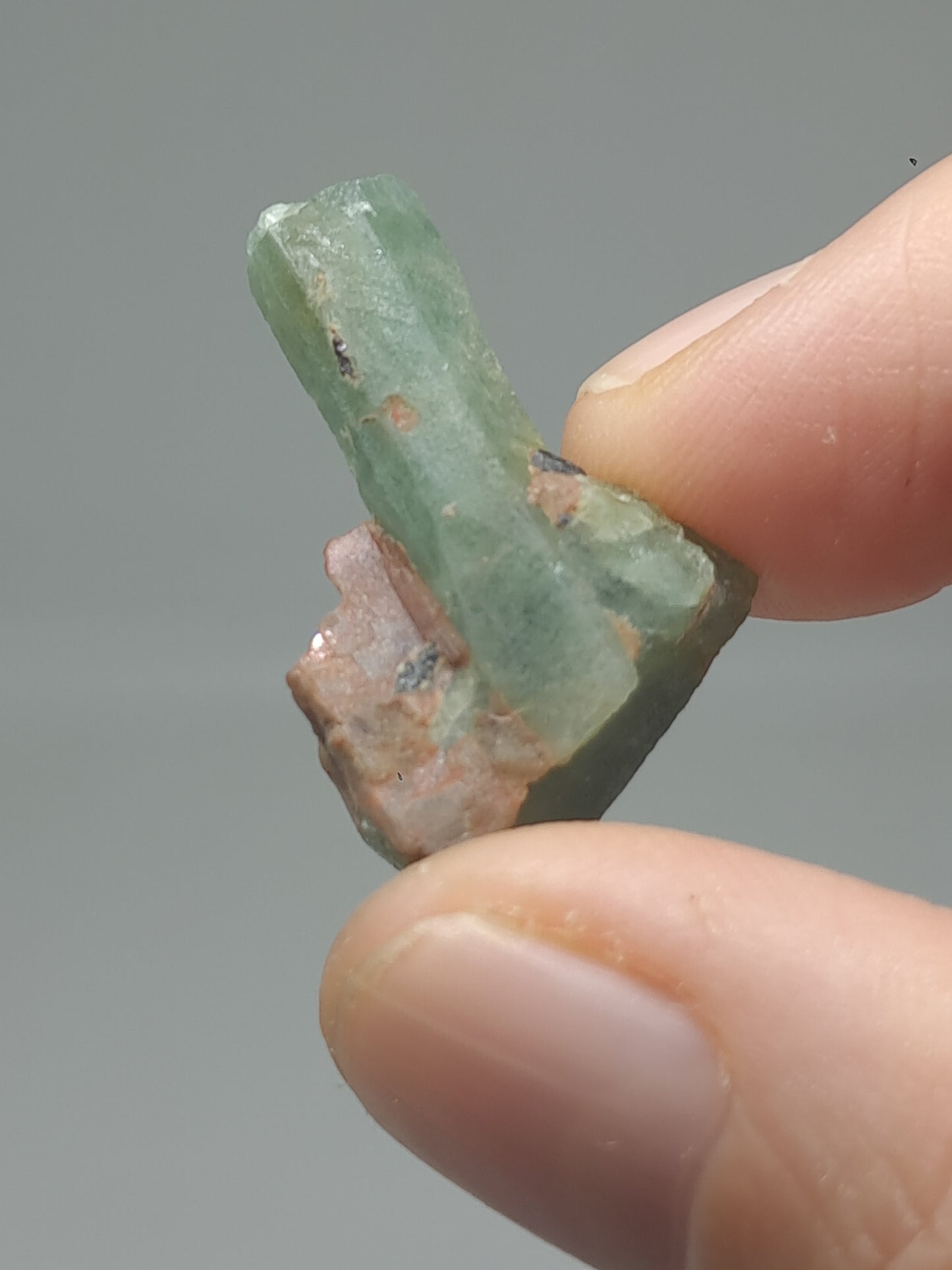Aquamarine (Karur) Rough Natural Crystal | Mineral Specimen #AQM54