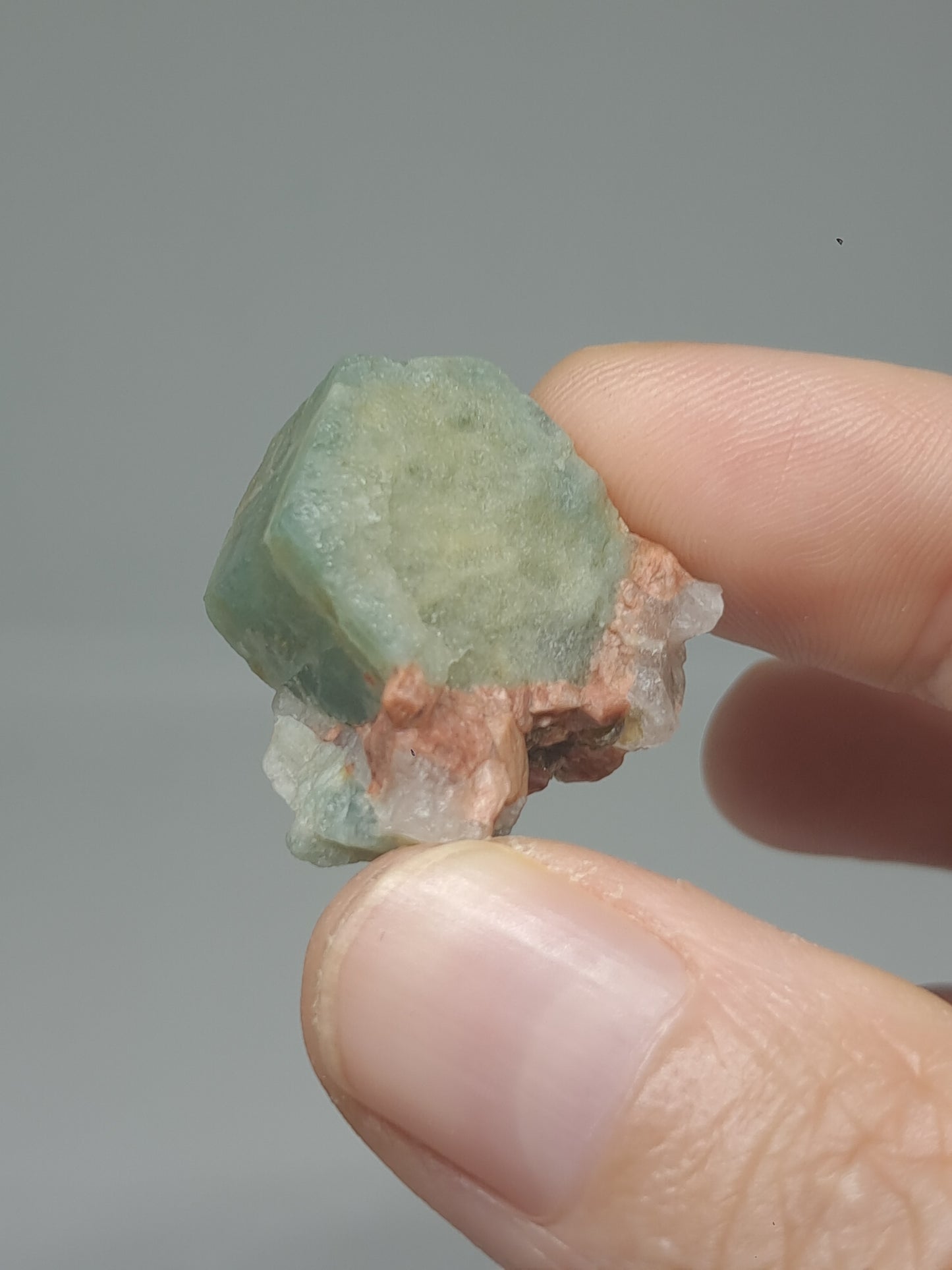 Aquamarine on Matrix (Karur) Rough Natural Crystal | Mineral Specimen #AQM49