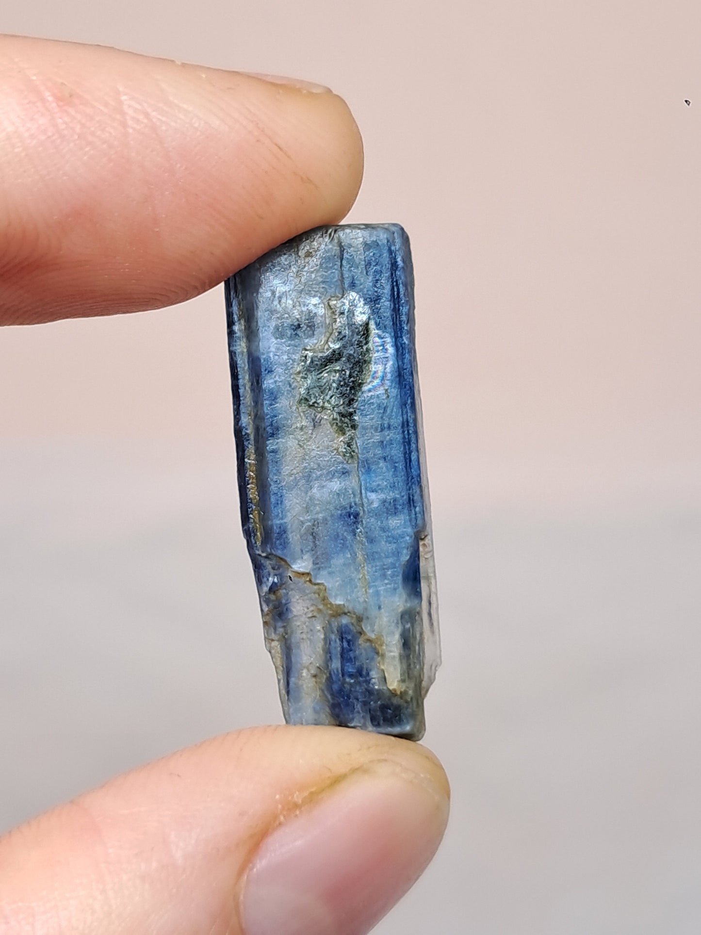 Set of 3 Blue Kyanites (Nepal) Natural Crystals #KY24
