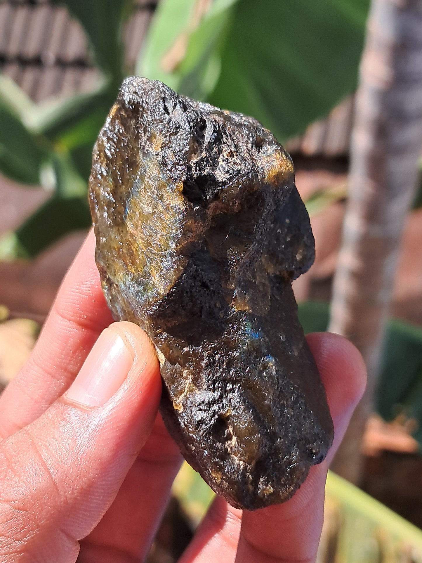 Labradorite Raw (Madagascar) | Strong Flash #LB8