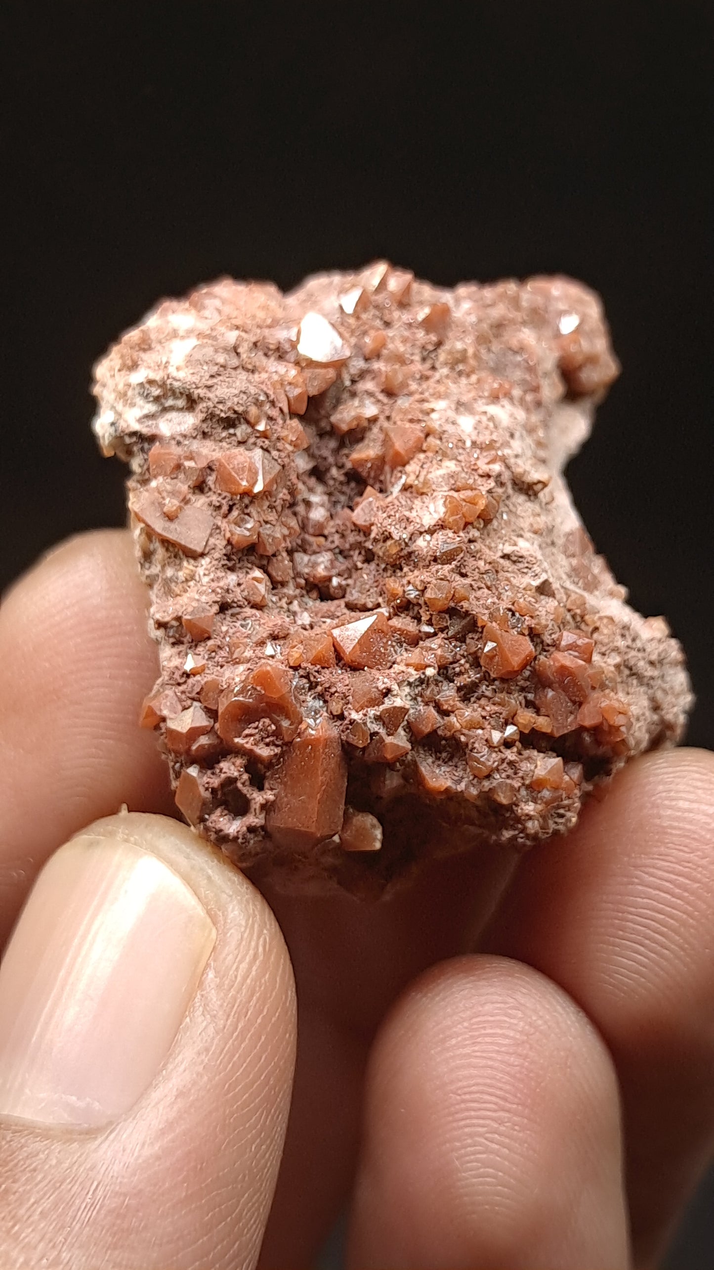 Jacinto de Compostela Quartz Cluster On Matrix | Natural Crystal | Mineral Specimen #JCQ8