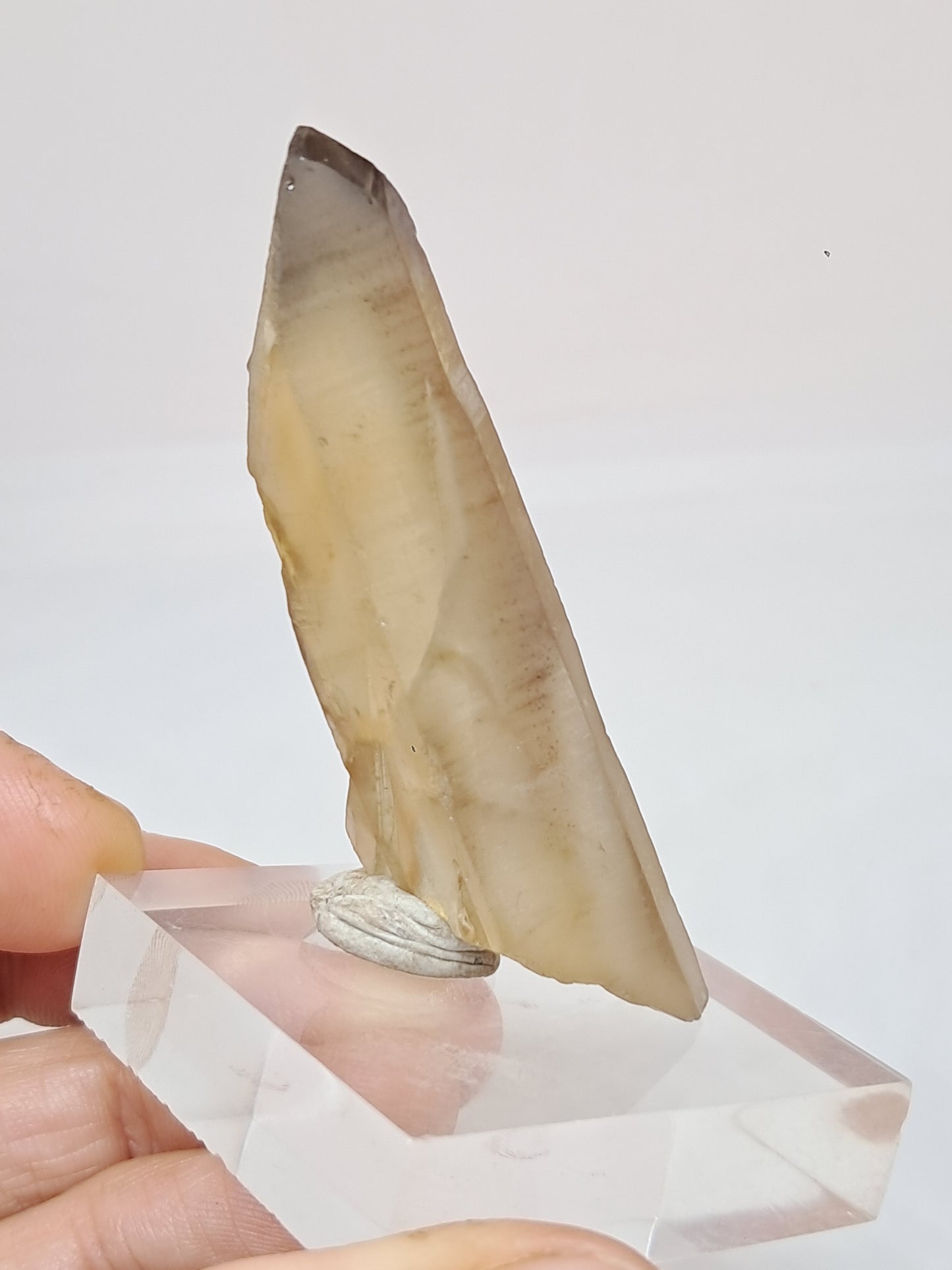 Natural Citrine Stone (DRC) Crystal Point  #CTN26