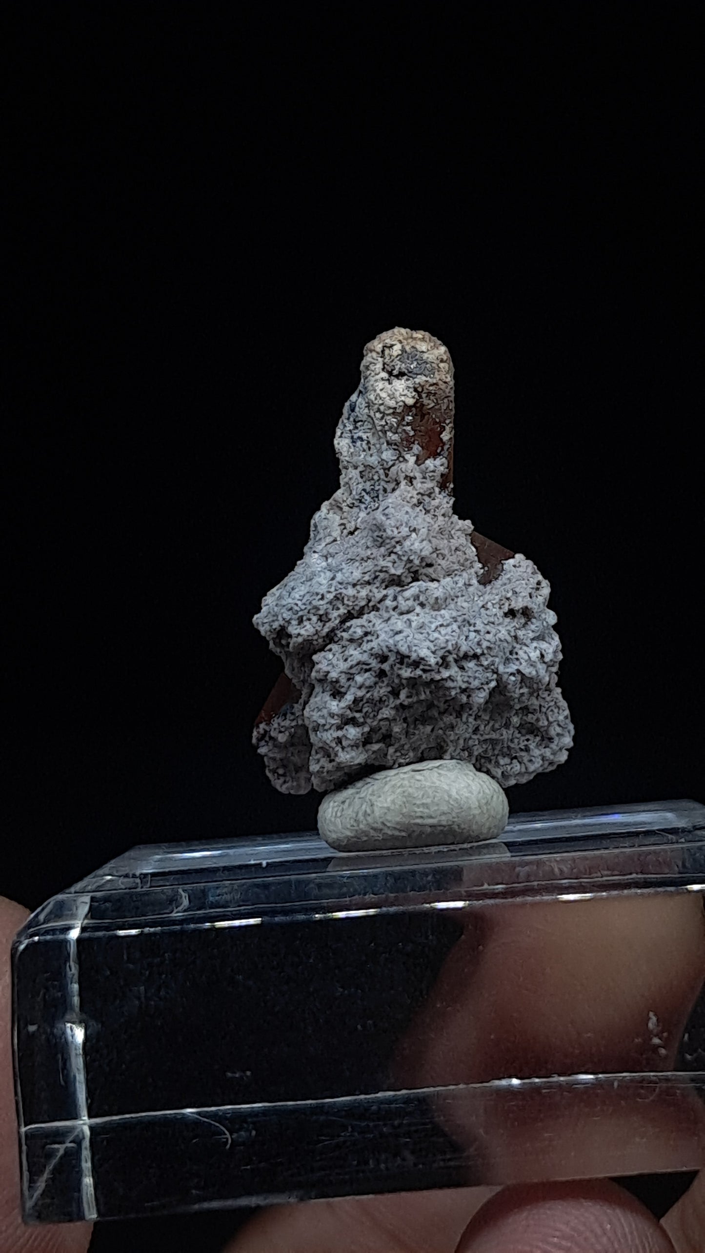 Natural Topaz Crystal Cluster (Mexico) Champagne Colour | Rare Gemstone | Mineral Specimen #TPZ38