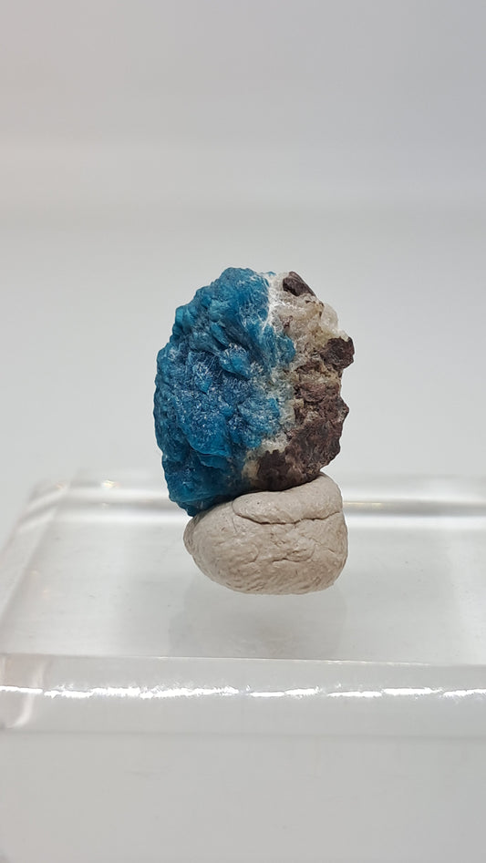 Cavansita sobre matriz (Wagholi) Cristal en bruto | Piedra natural | Ejemplar de mineral raro #CV64