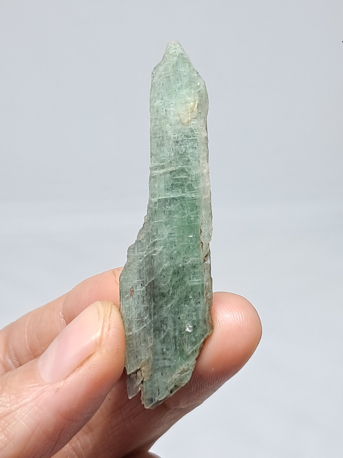 Green Kyanite (Tamil Nadu) Natural Crystal #KY9