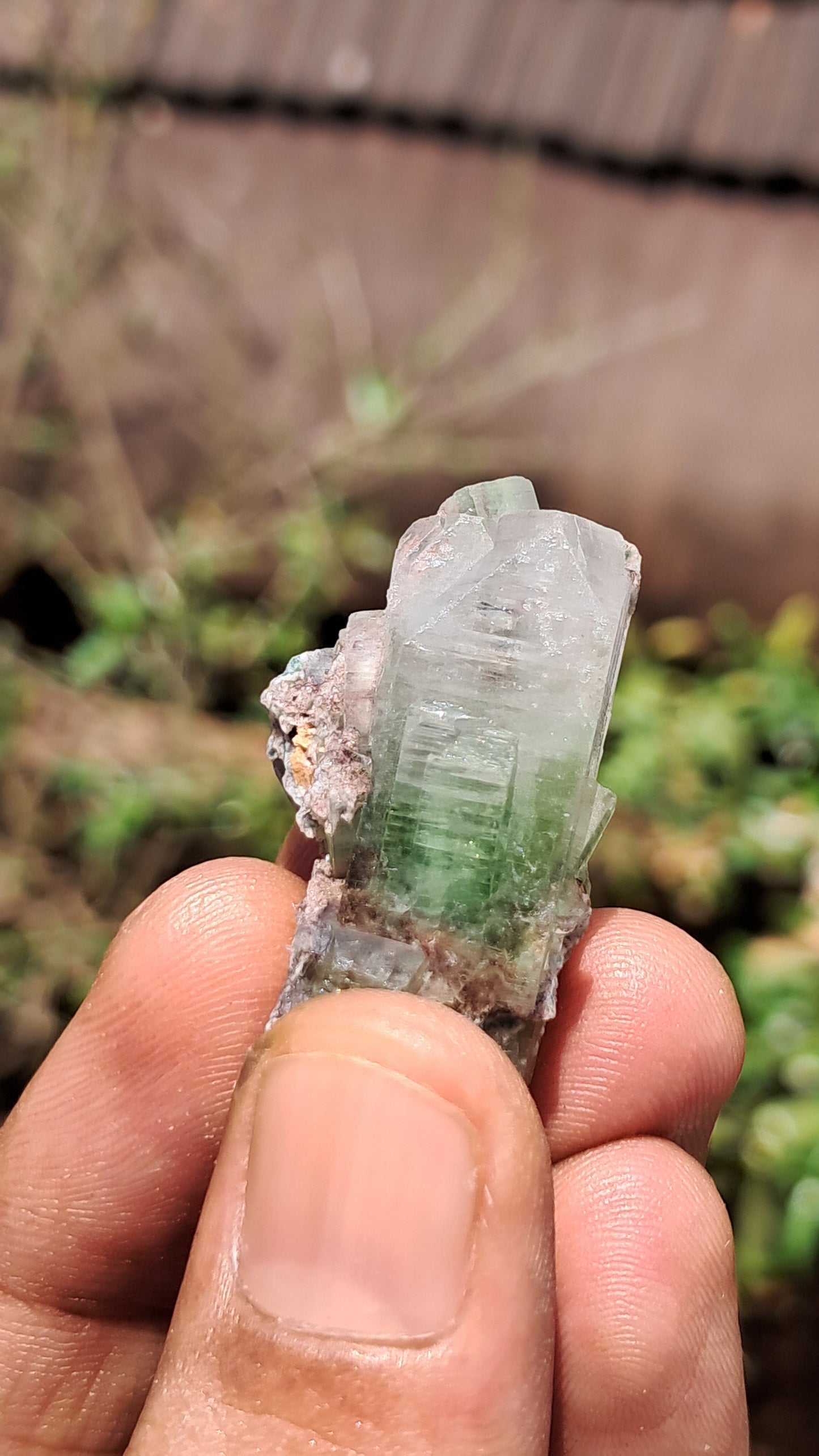 Green Apophyllite (Fluorapophyllite) on Matrix (Ajanta) Natural Crystal | Mineral Specimen #GA27