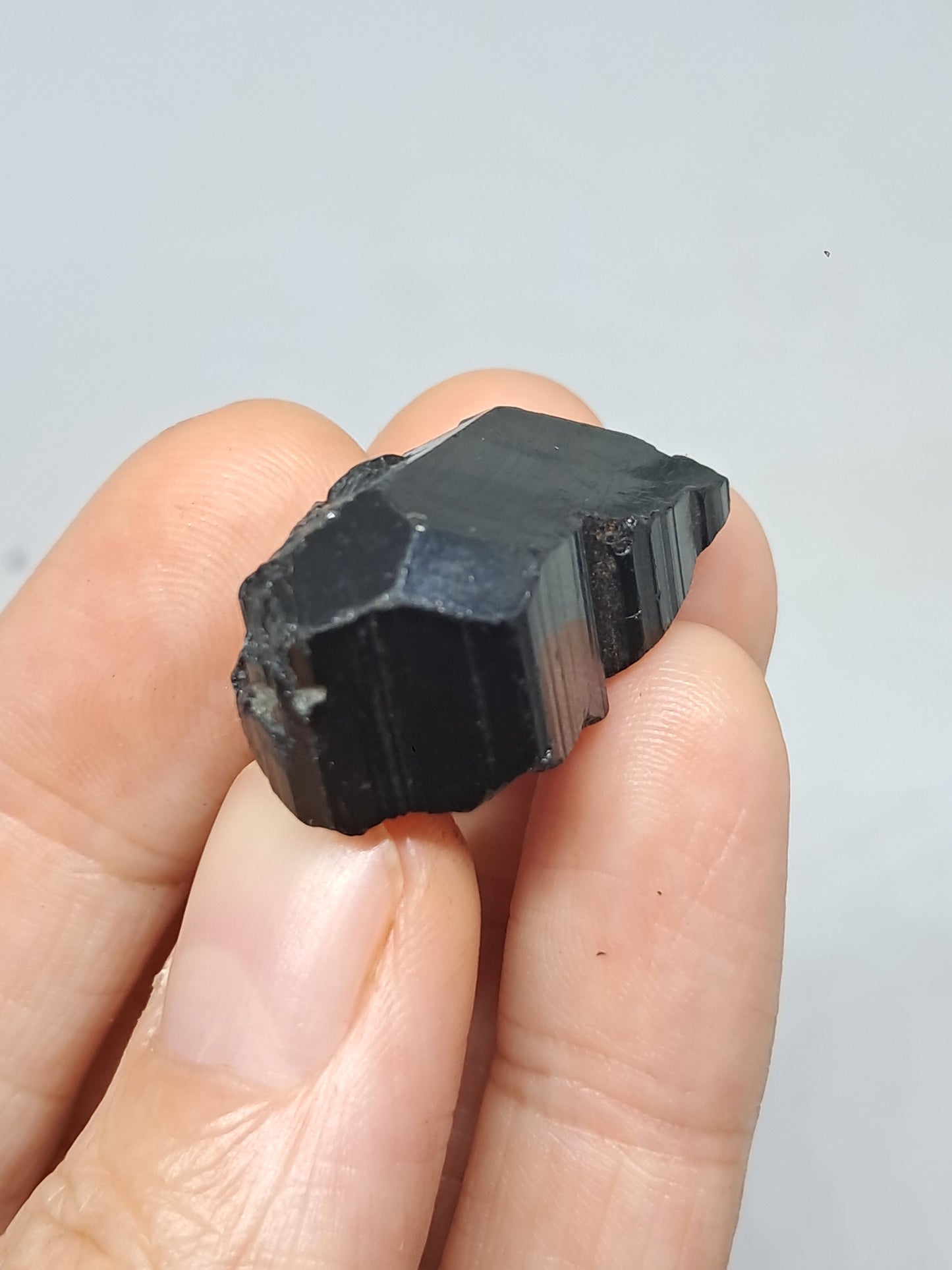 Black Tourmaline Crystal (Karnataka) Naturally Terminated | Natural Stone | Mineral Specimen #BT7