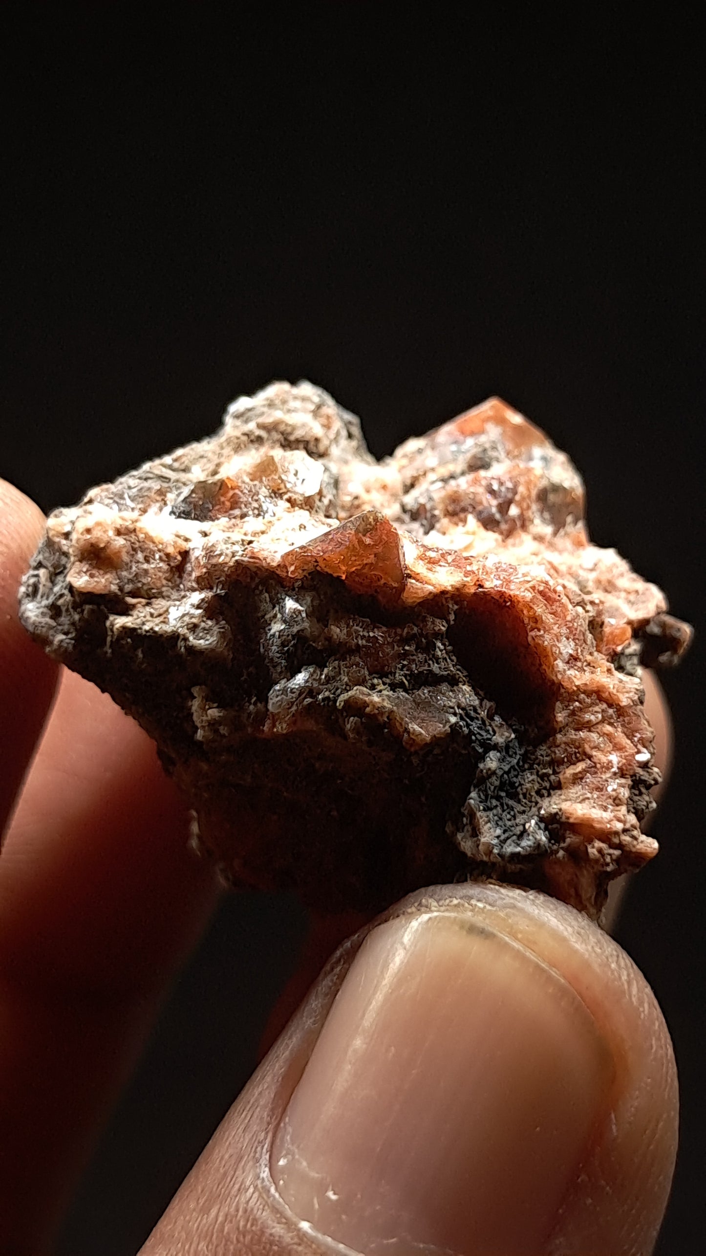 Jacinto de Compostela Quartz On Matrix | Natural Crystal | Mineral Specimen #JCQ3