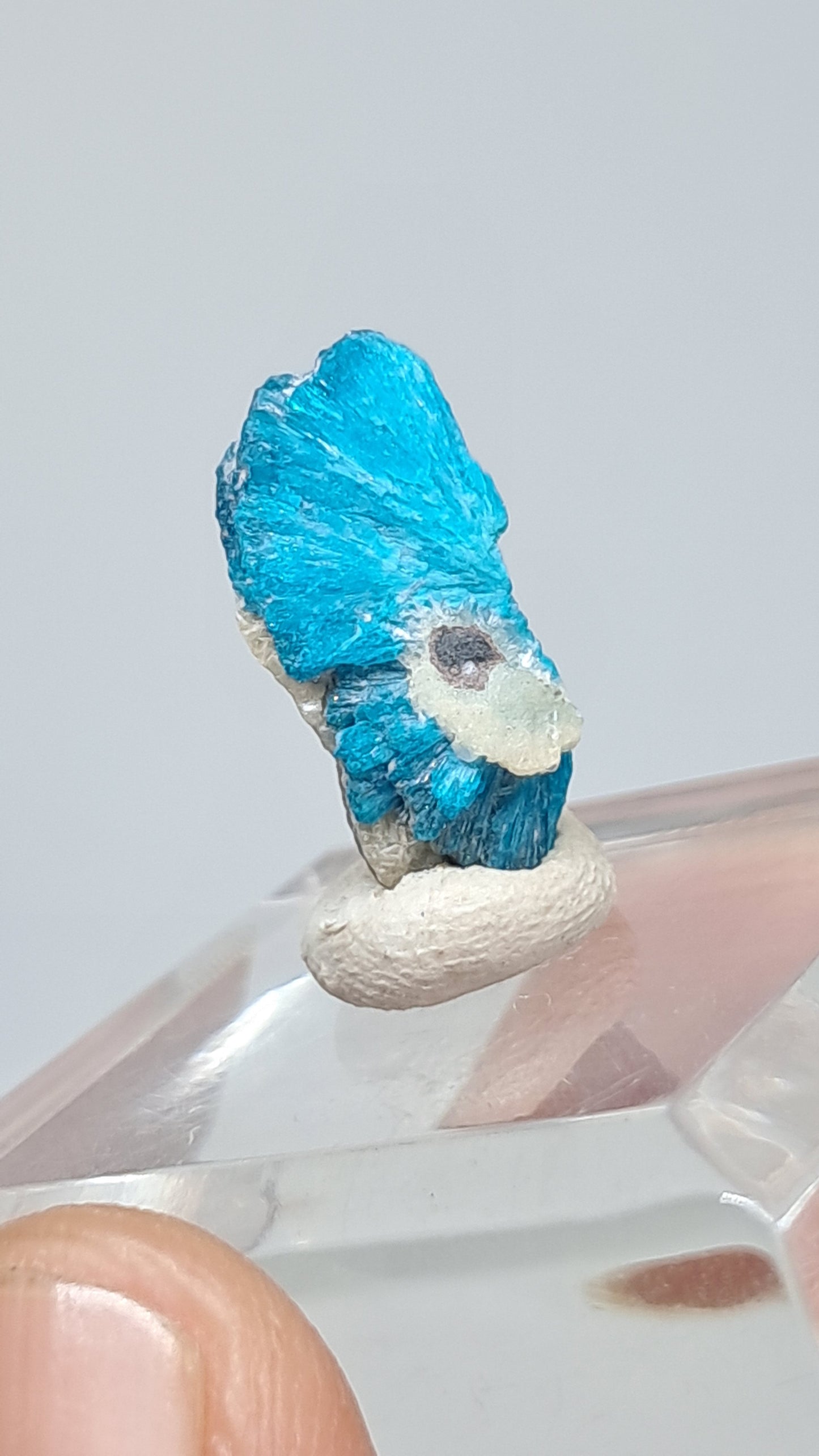 Cavansita en Matriz (Wagholi) Cristal en Bruto | Piedra Natural | Ejemplar Mineral Raro #CV67