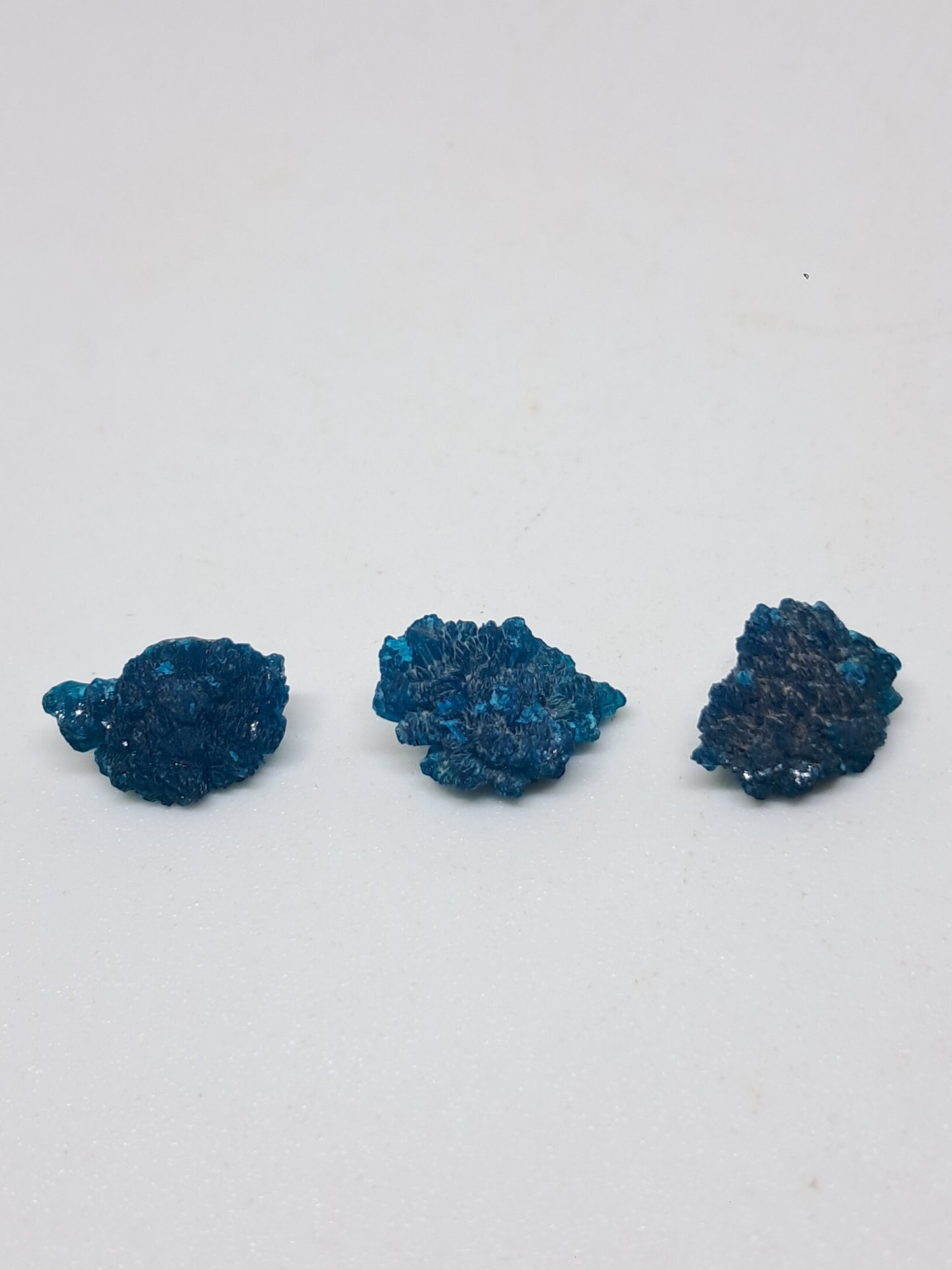 Juego de 3 flores de cavansita de alta calidad (wagholi) en bruto | Cristal natural | Ejemplar mineral raro n.° CV44
