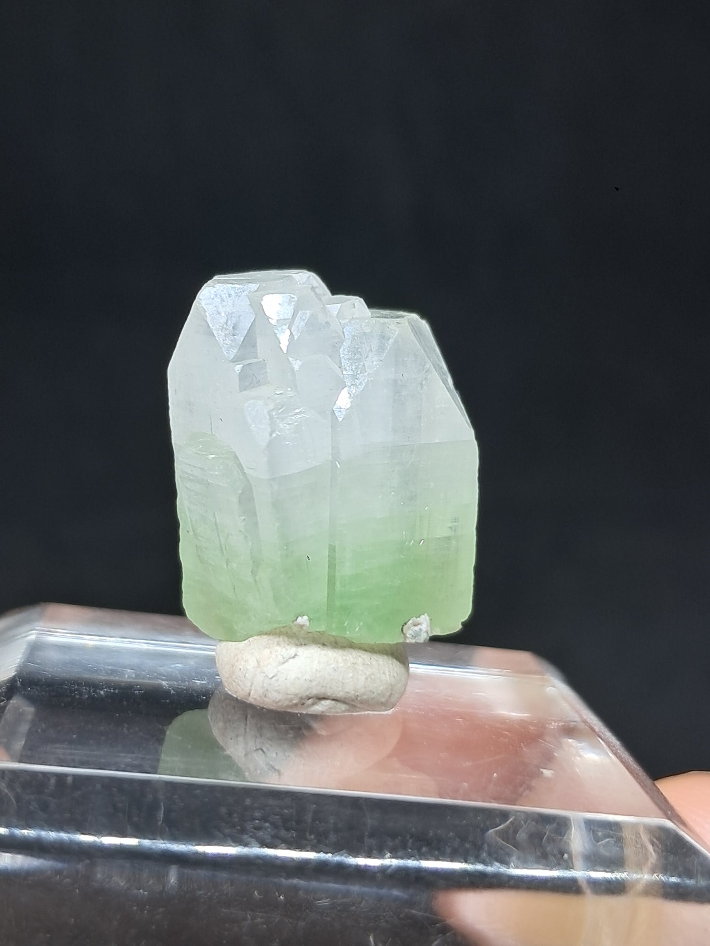 Green Apophyllite (Fluorapophyllite) (Ajanta) Natural Crystal | Mineral Specimen #GA40