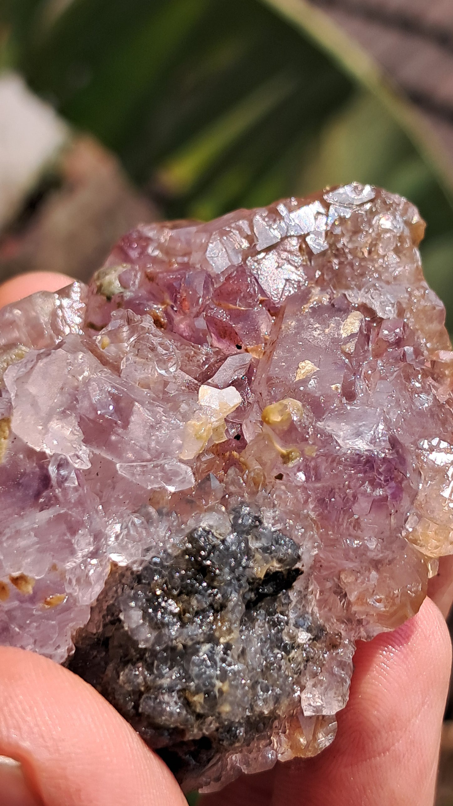 Amethyst Scepter Flower from Karur | Honeycomb Terminations | "Super Seven" inclusions | Mineral Specimen #KA185