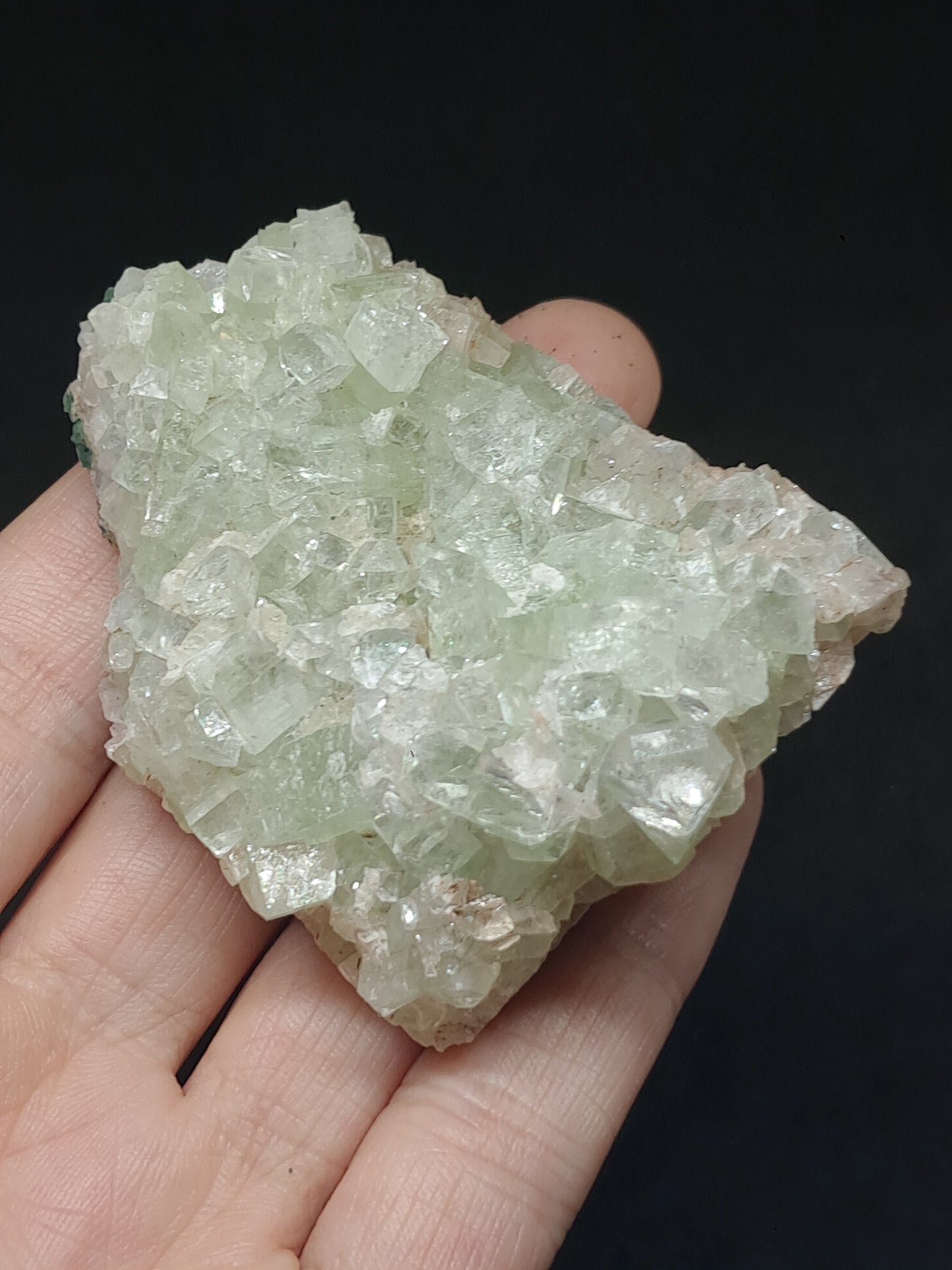 Green Apophyllite Cluster (Fluorapophyllite) (Ajanta) Rough Natural Crystal | Mineral Specimens #GA56