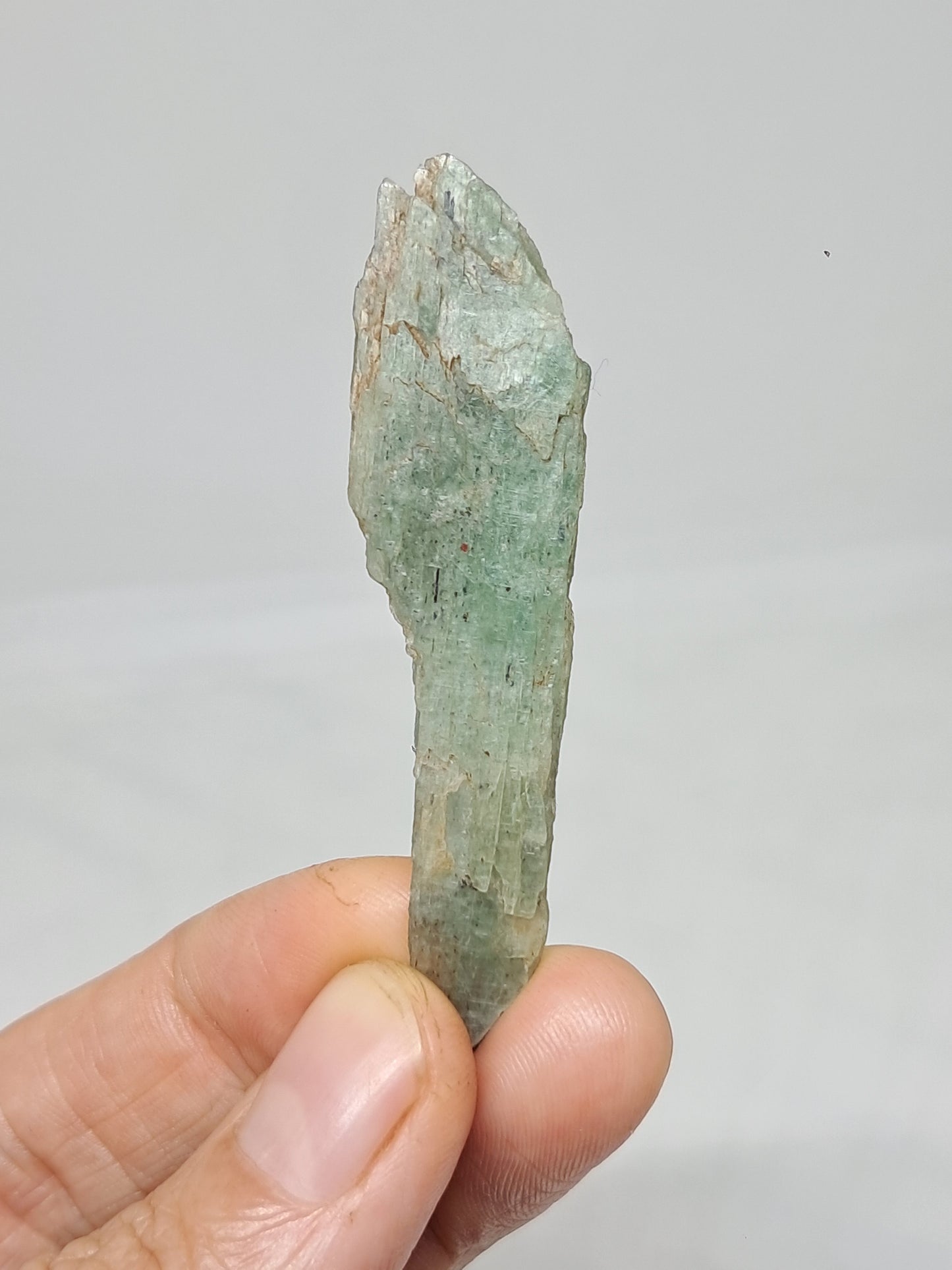 Green Kyanite (Tamil Nadu) Natural Crystal #KY9