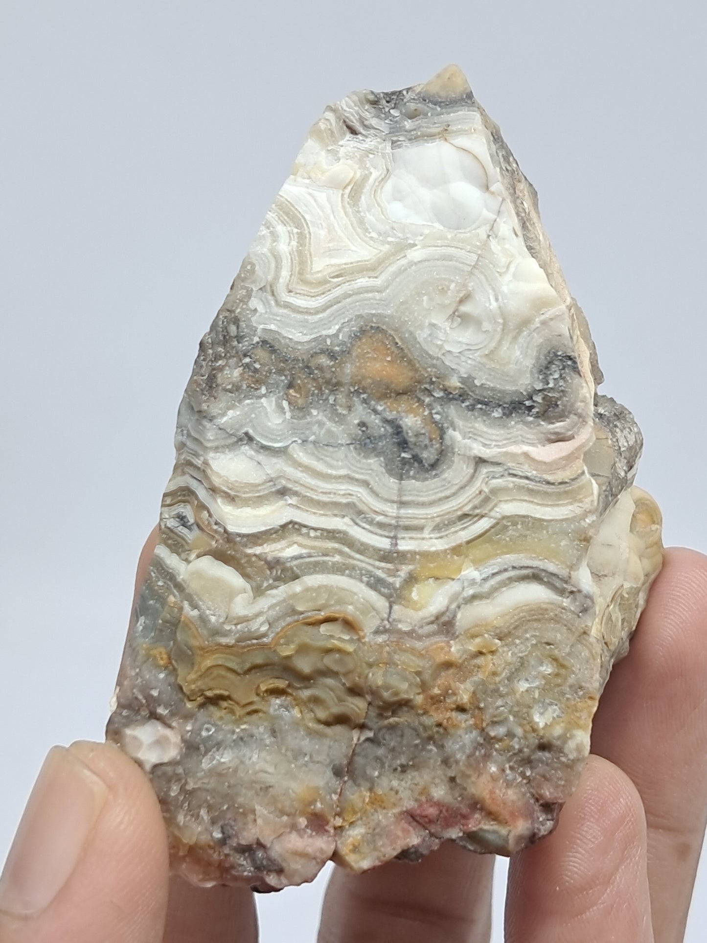 Crazy Lace Agate Rough | Natural Stone | Mineral Specimen #CLA1