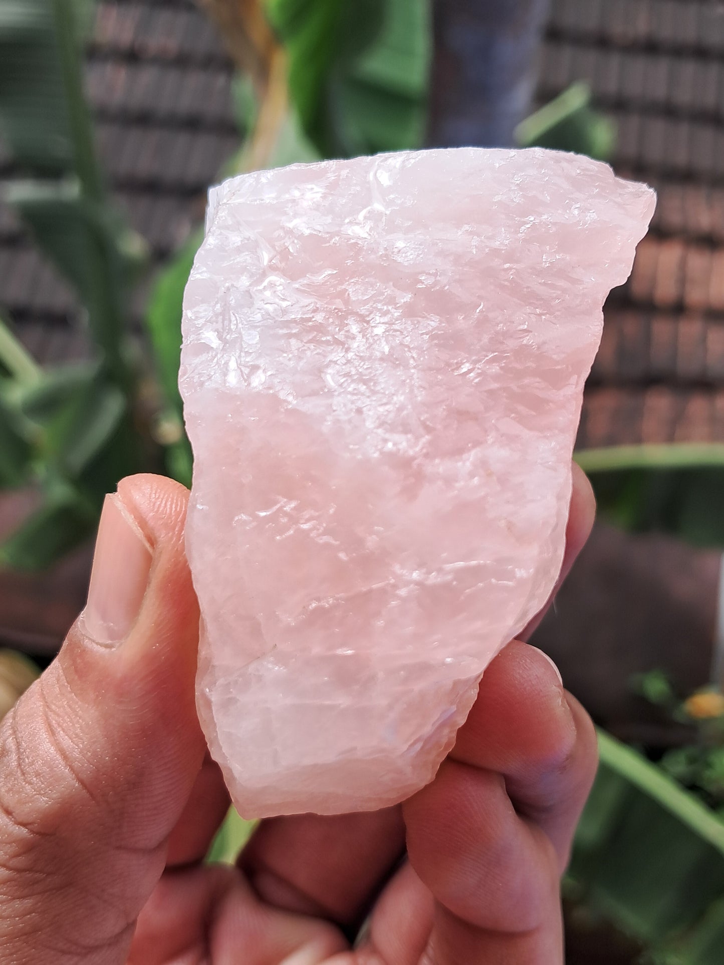 Rose Quartz (Rajasthan) Rough Stone | Natural Gemstone #RQ9