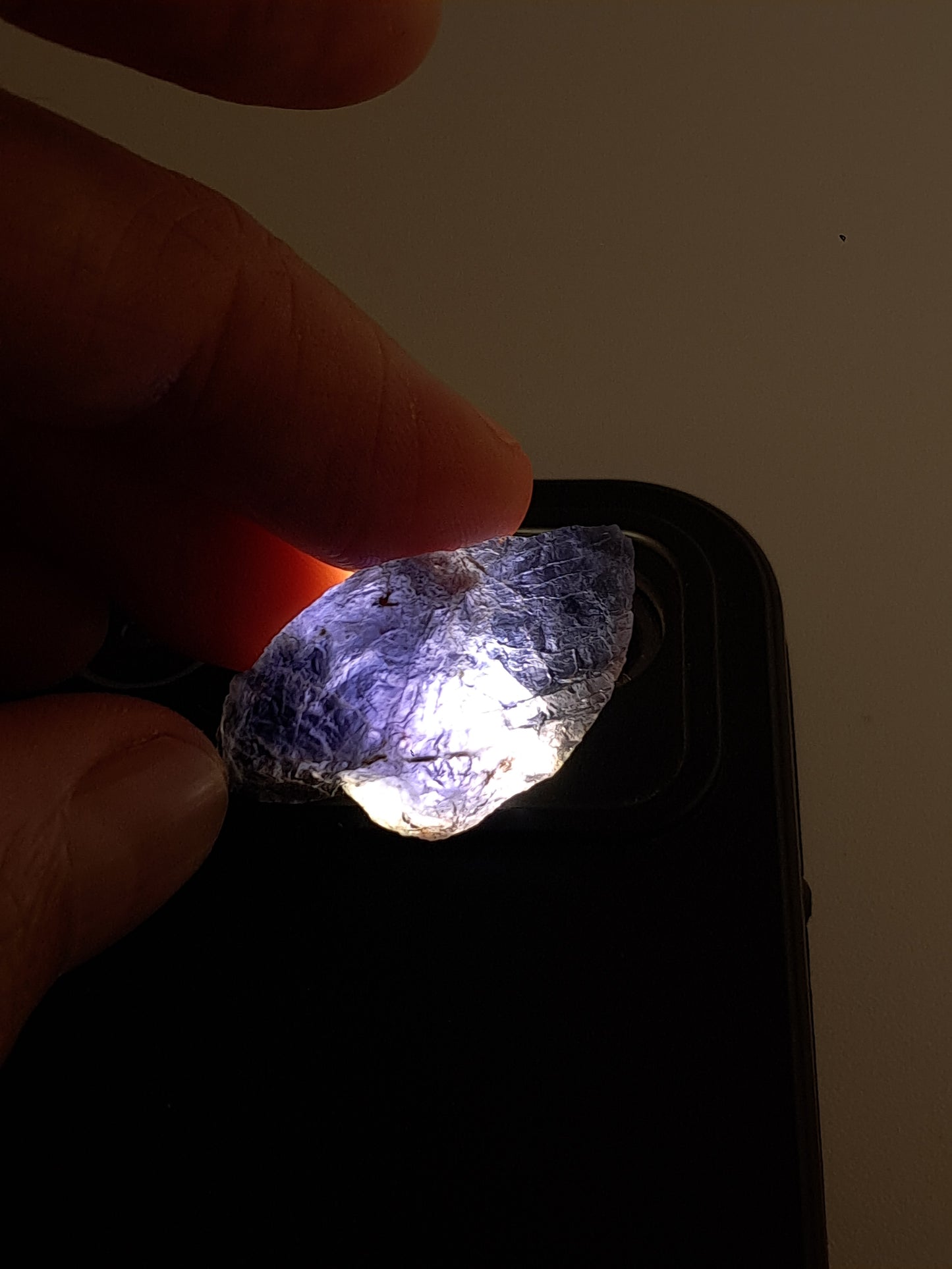 Rough Iolite Crystal (Karur) *Gem Quality* Cordierite | Excelent Pleochroism | Mineral Specimen #IO7
