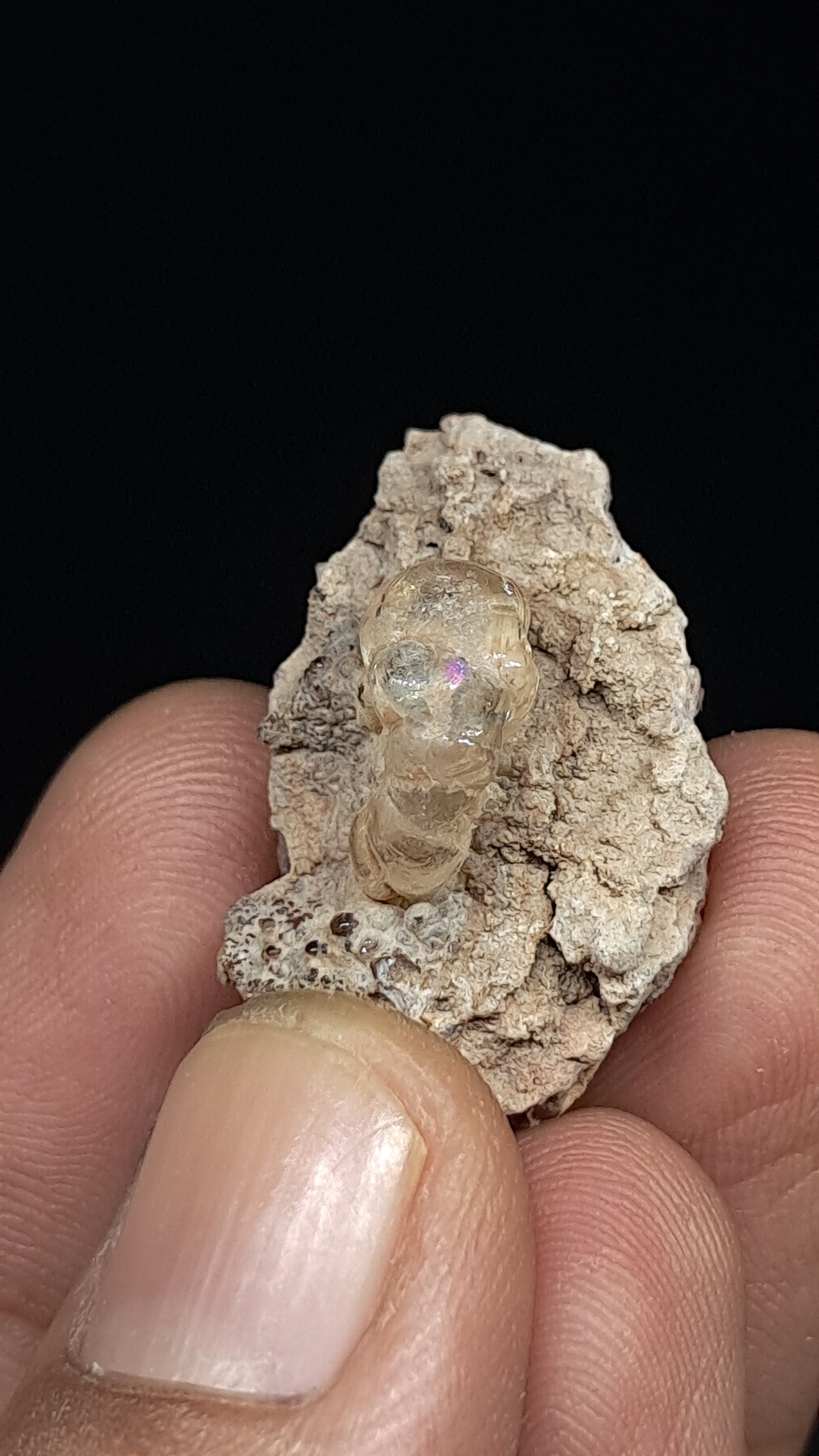 Hyalite Opal on Matrix (Mexico) Rough Crystal Stone | UV-Reactive Mineral Specimen #OH5