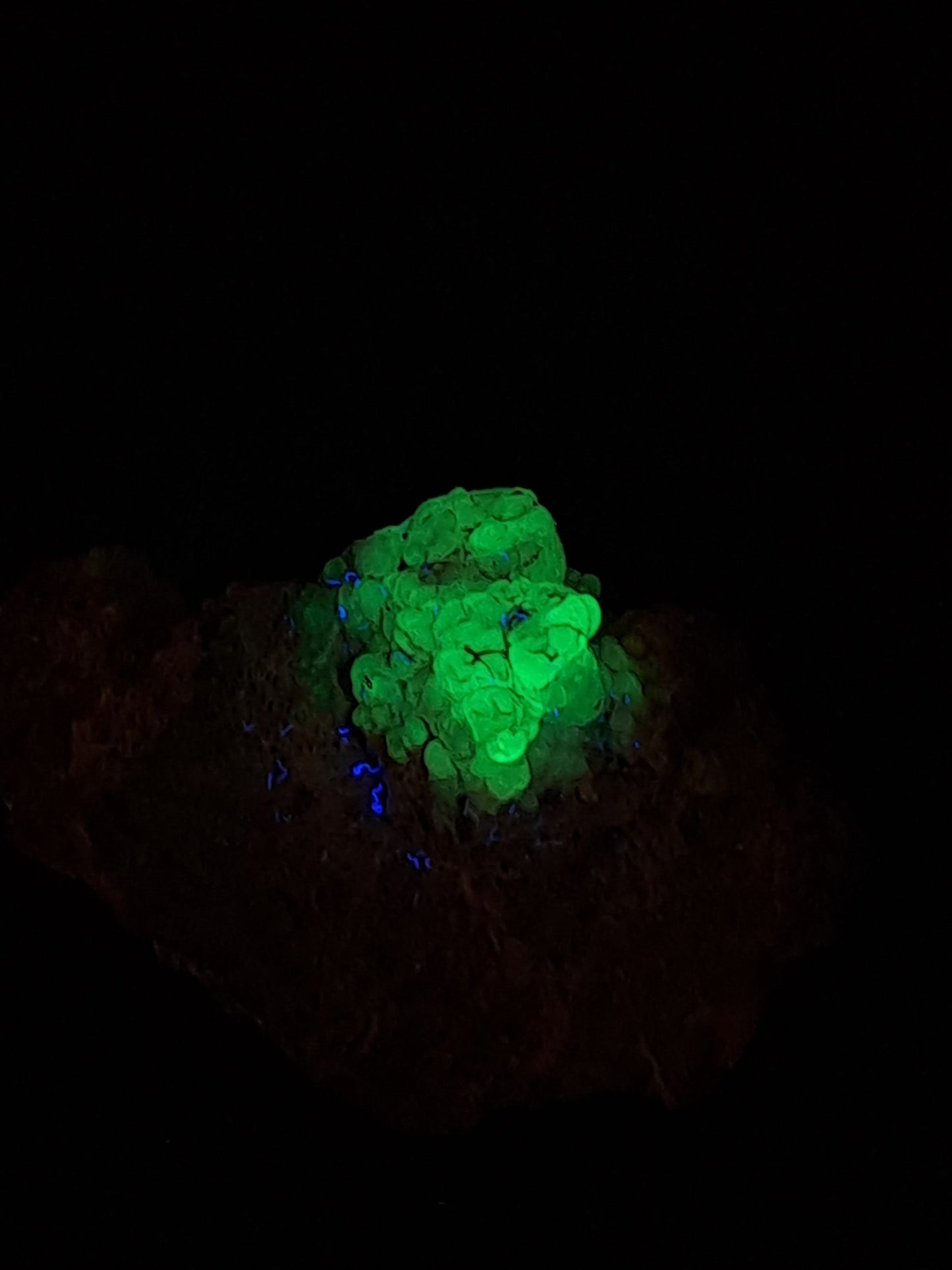 Hyalite Opal on Matrix (Mexico) Rough Crystal Stone | UV-Reactive Mineral Specimen #OH9