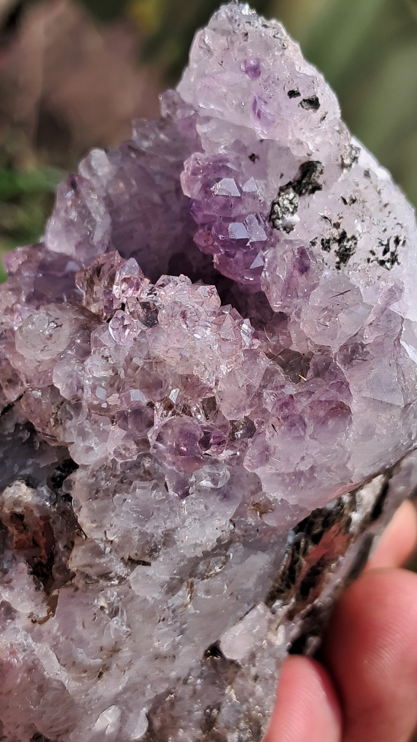 Amethyst Scepters formed in Quartz with Mica | "Super Seven" inclusions | Mineral Specimen #KA189