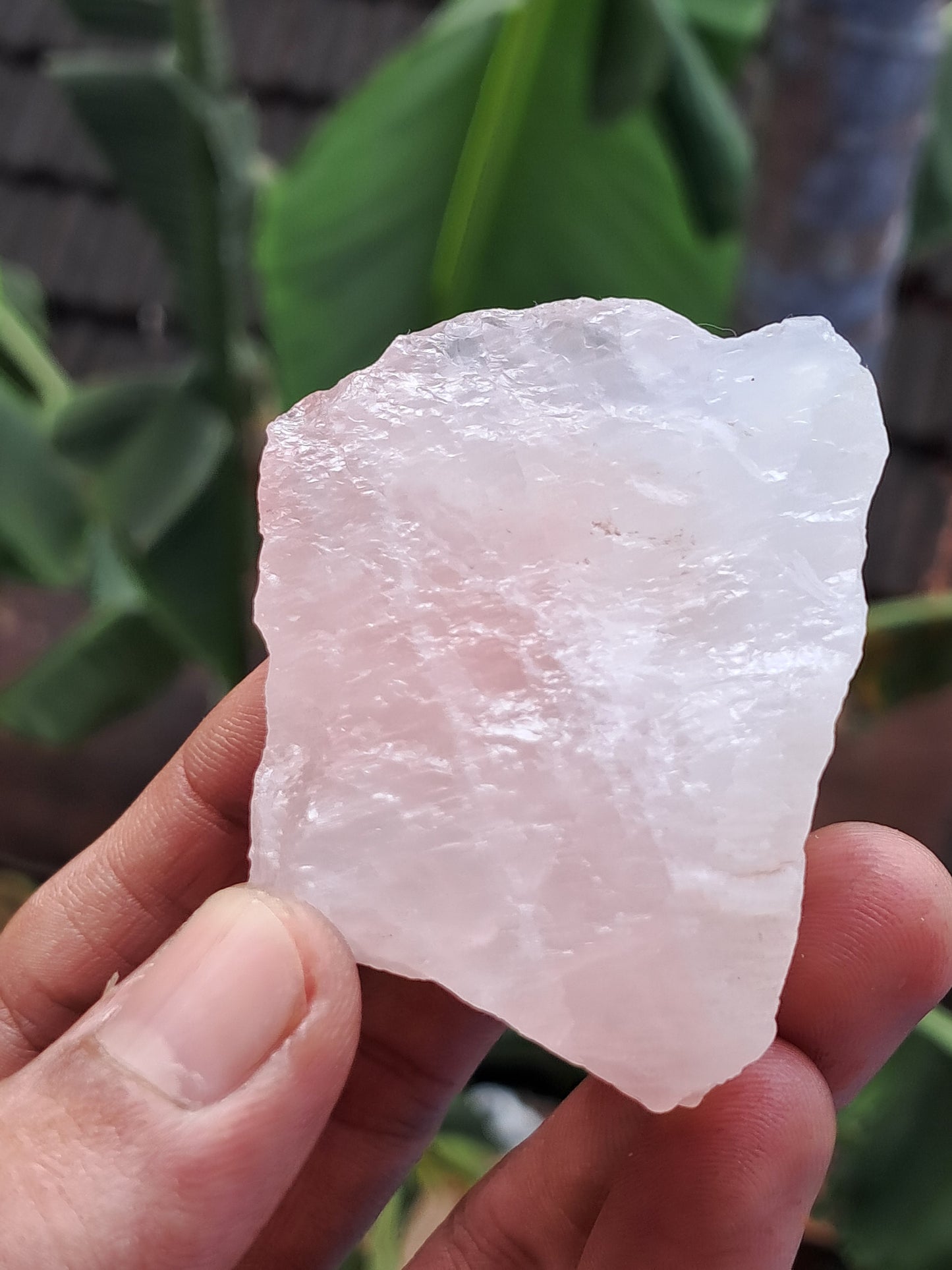 Rose Quartz (Rajasthan) Rough Stone | Natural Gemstone #RQ12