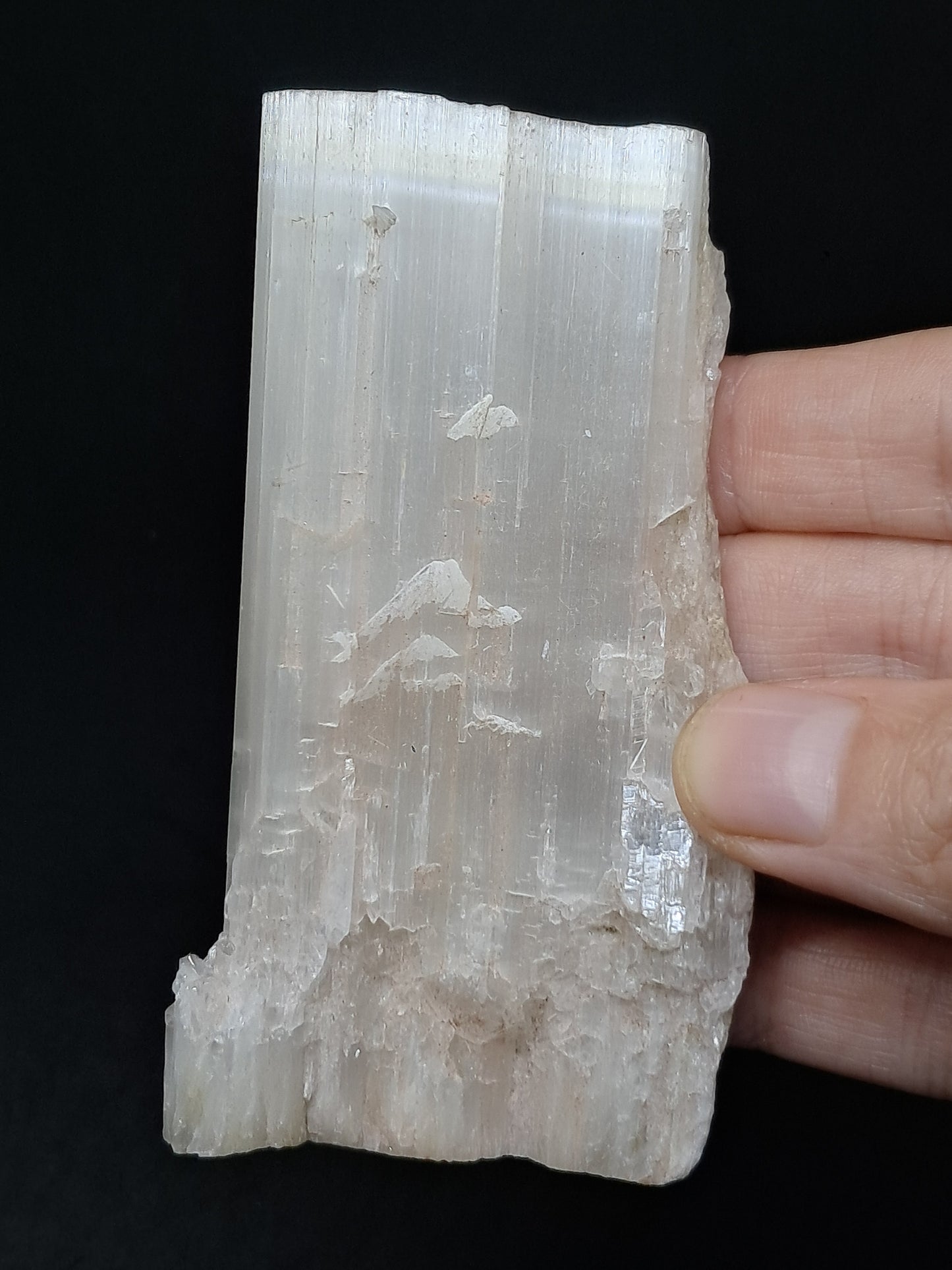 Satin Spar *Selenite* (India) Fibrous Gypsum | Mineral Specimen | Rough Crystal #SE1