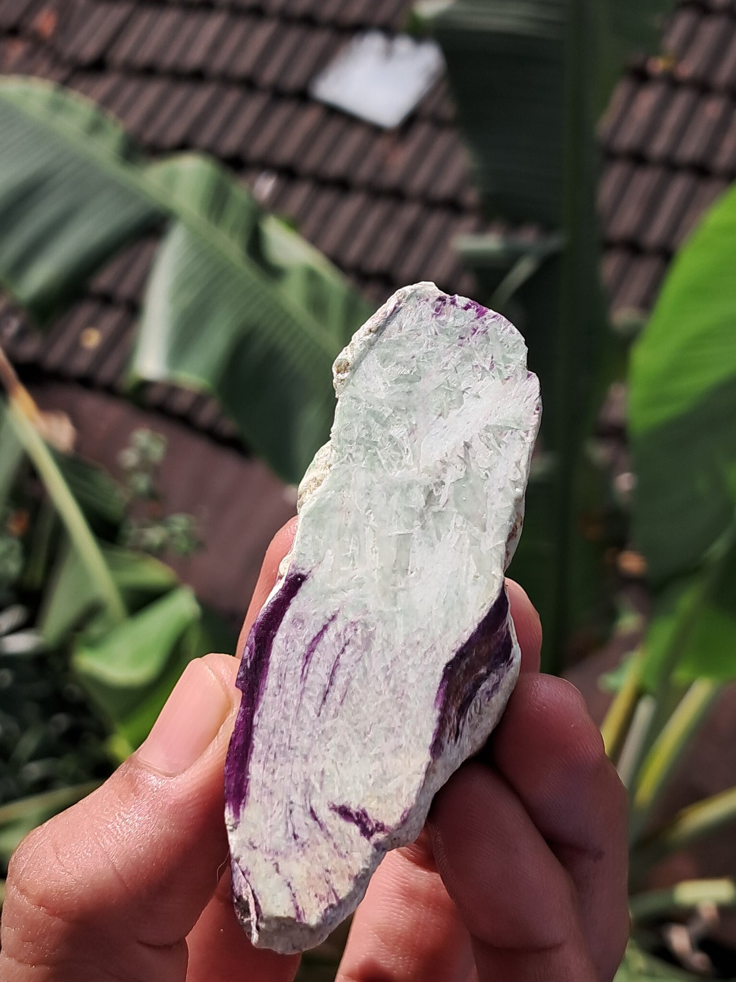 Kammererite on Clinochlore (Ural Mountains, Russia) | Rare Stone #KM2