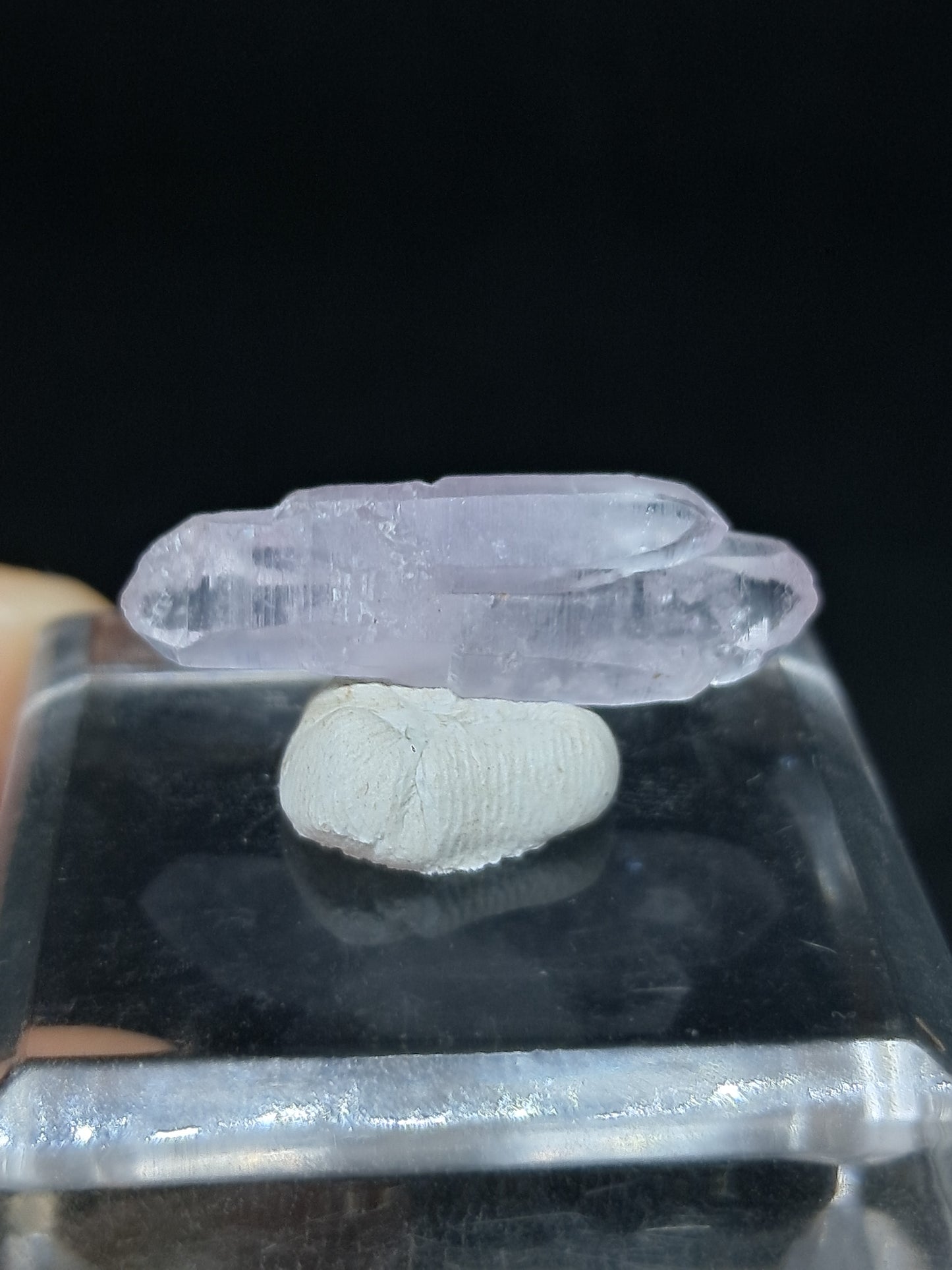 Esceptro Bipunta de Amatista de Veracruz Fusionada (México) | Cristal Natural | Muestra de Mineral #VA53