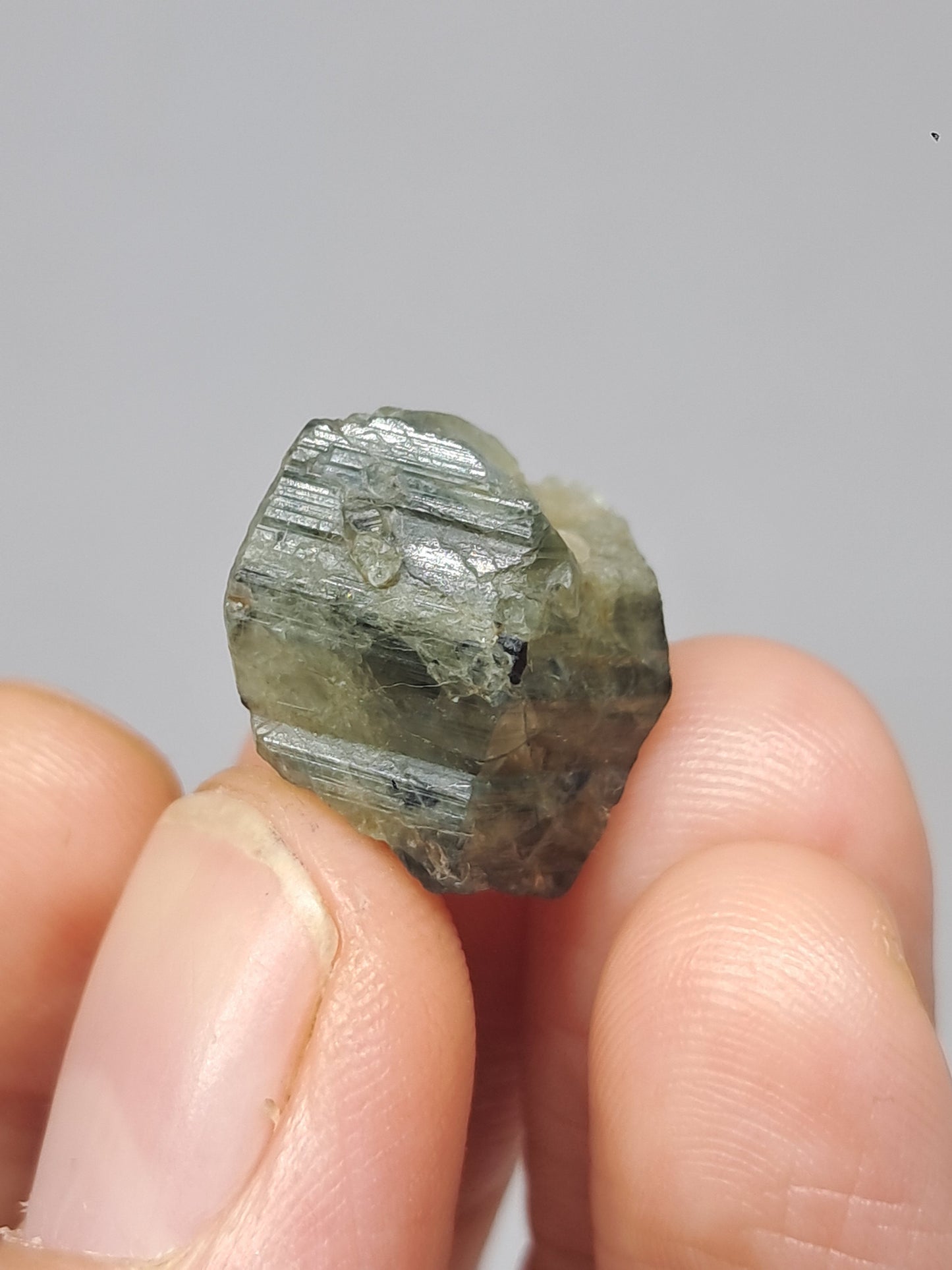Natural Green Blue Sapphire Crystal (Karur) Rough Stone | Bicolor | Mineral Specimen #SP37