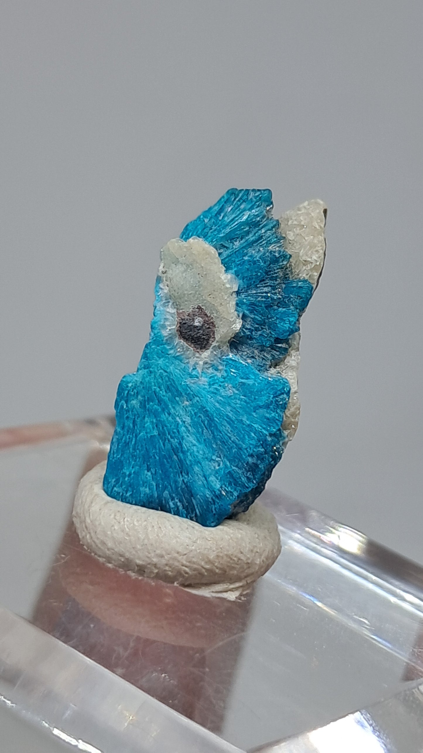 Cavansita en Matriz (Wagholi) Cristal en Bruto | Piedra Natural | Ejemplar Mineral Raro #CV67