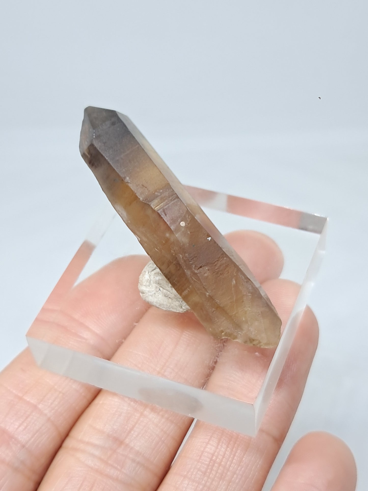 Natural Citrine Crystal Point w/ Self-Healed Termination (Democratic Republic of Congo) #CTN30