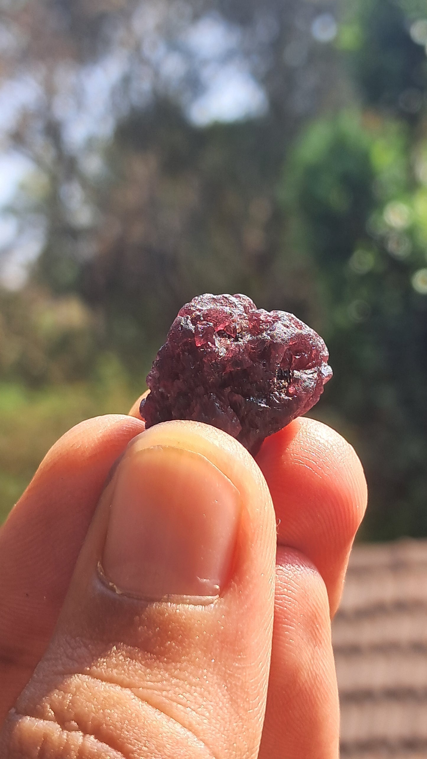 Granate rojo (Karur) | Pulido por río | Piedra natural #RG8