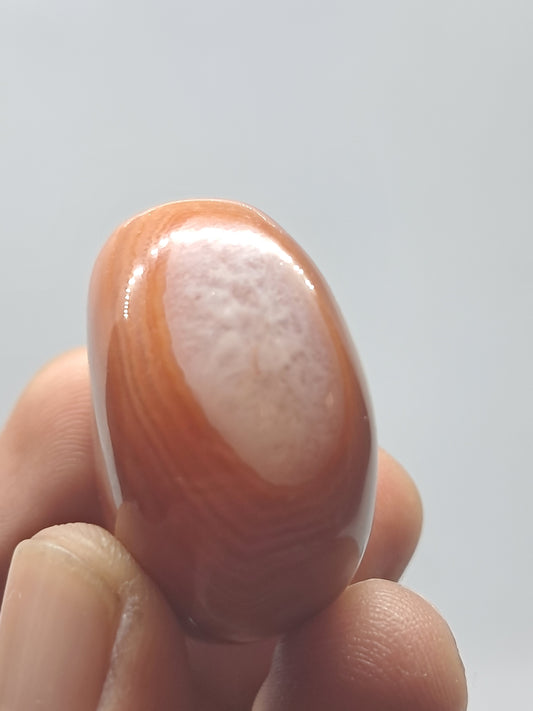 Tumbled Carnelian (India) Polished Natural Stone #CRN5