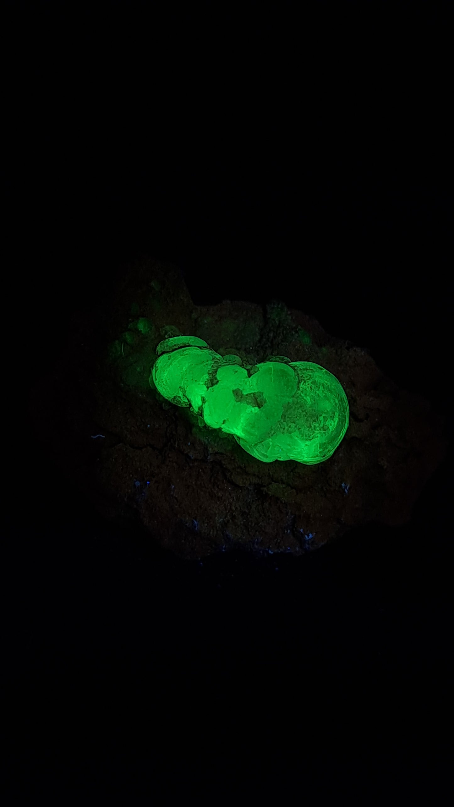 Hyalite Opal on Matrix (Mexico) Rough Crystal Stone | UV-Reactive Mineral Specimen #OH5