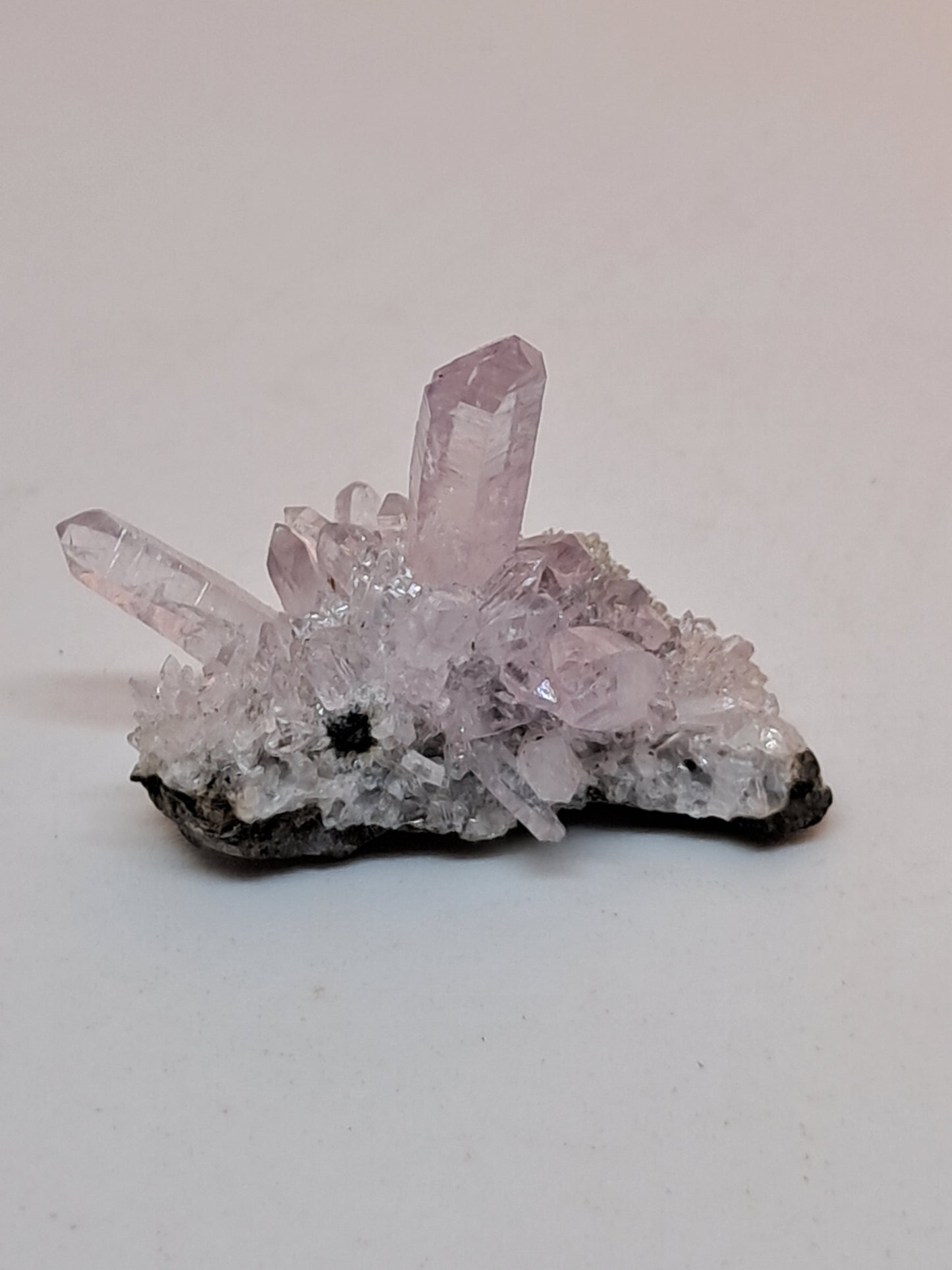 Veracruz Amethyst Crystal Points on Matrix (Mexico) | Natural Cluster | Mineral Specimen #VA24