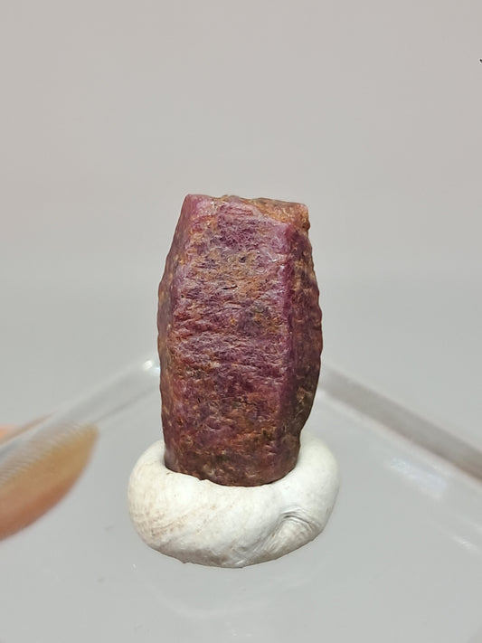 Rough Ruby Crystal (Tamil Nadu) Natural Stone | Mineral Specimen #RB28