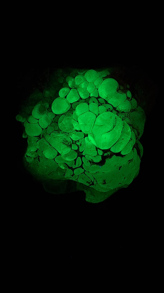 Hyalite Opal on Matrix (Mexico) Rough Crystal Stone | UV-Reactive Mineral Specimen #OH7