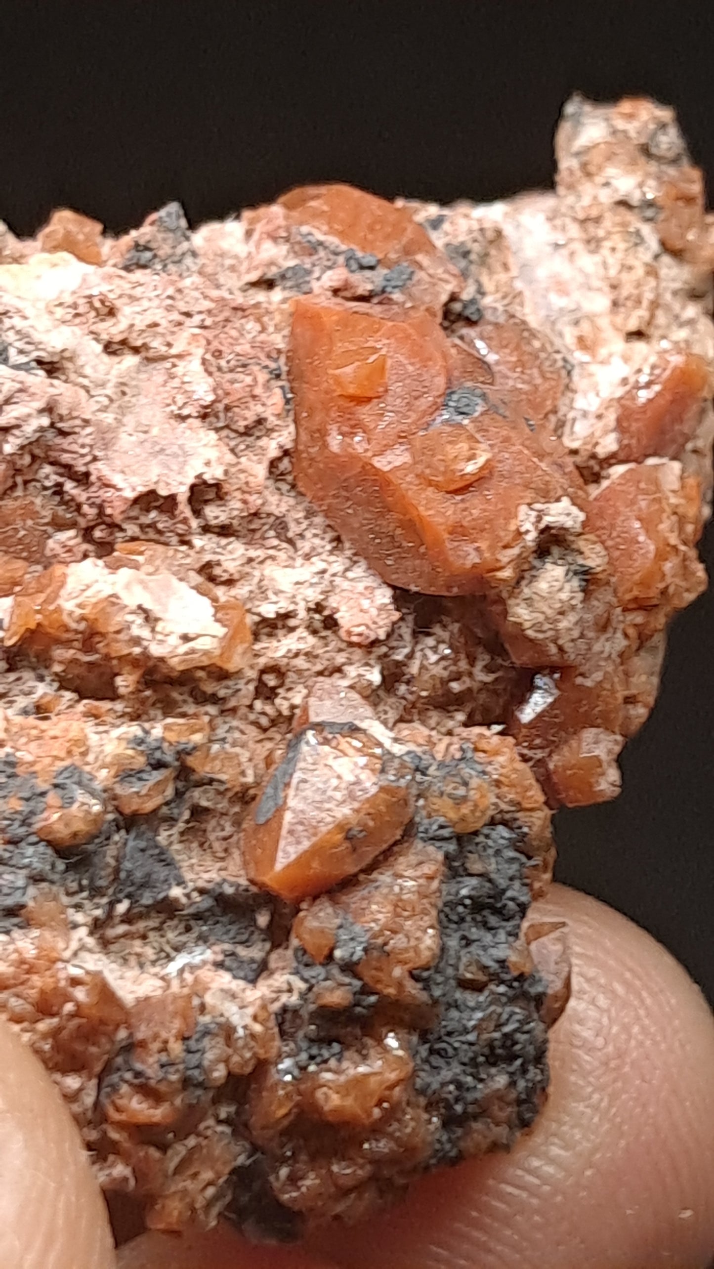 Jacinto de Compostela Quartz Cluster On Matrix | Natural Crystal | Mineral Specimen #JCQ7