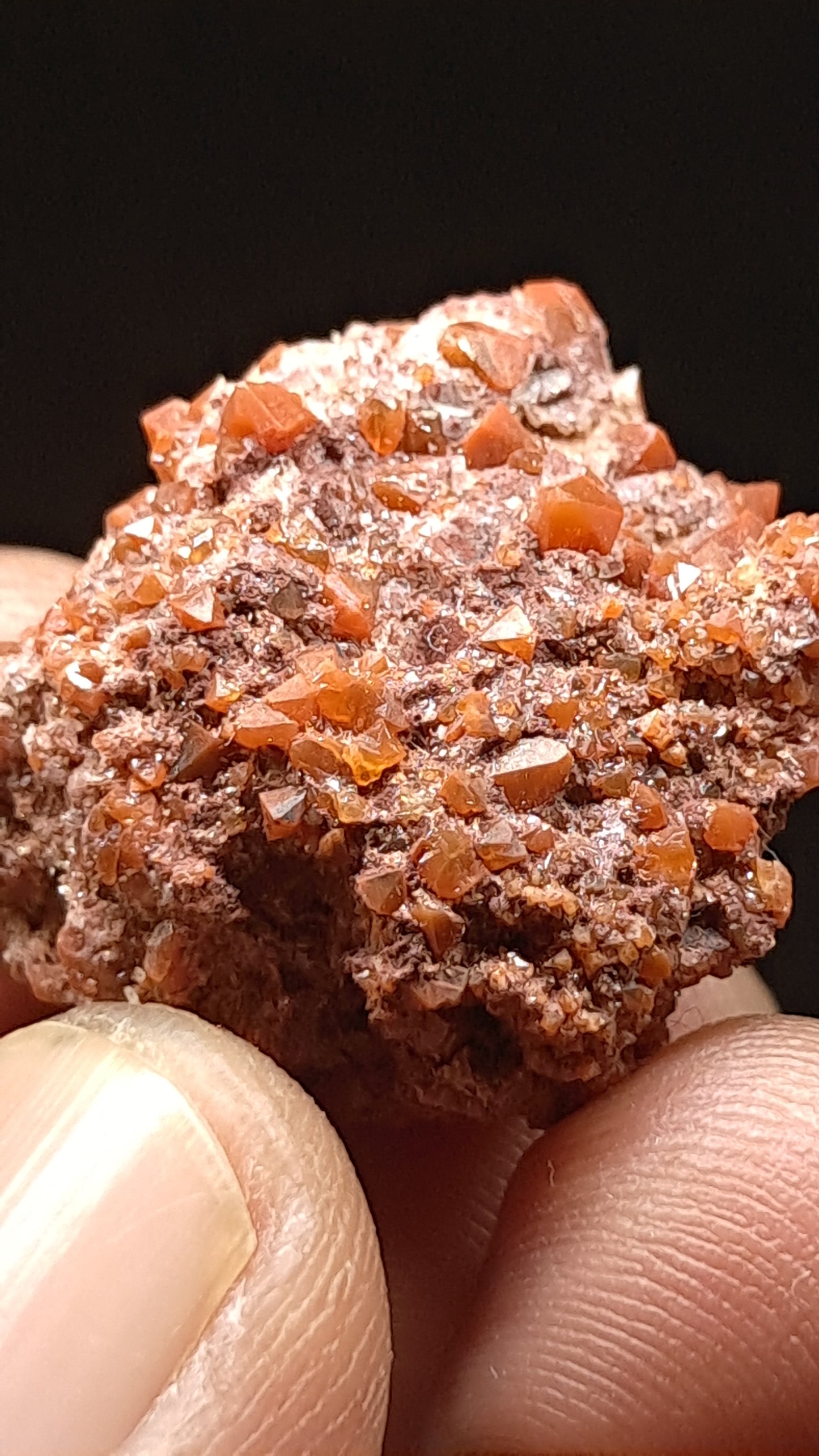 Jacinto de Compostela Quartz On Matrix | Natural Crystal | Mineral Specimen #JCQ9