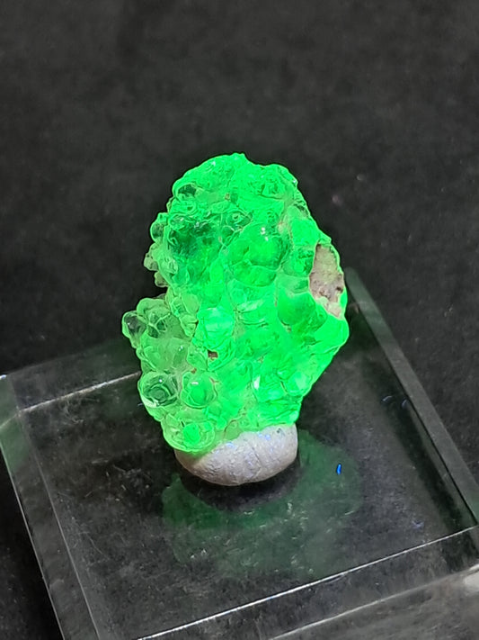 Ópalo hialita (México), cristal en bruto, piedra reactiva a los rayos UV | Ejemplar mineral n.° OH4