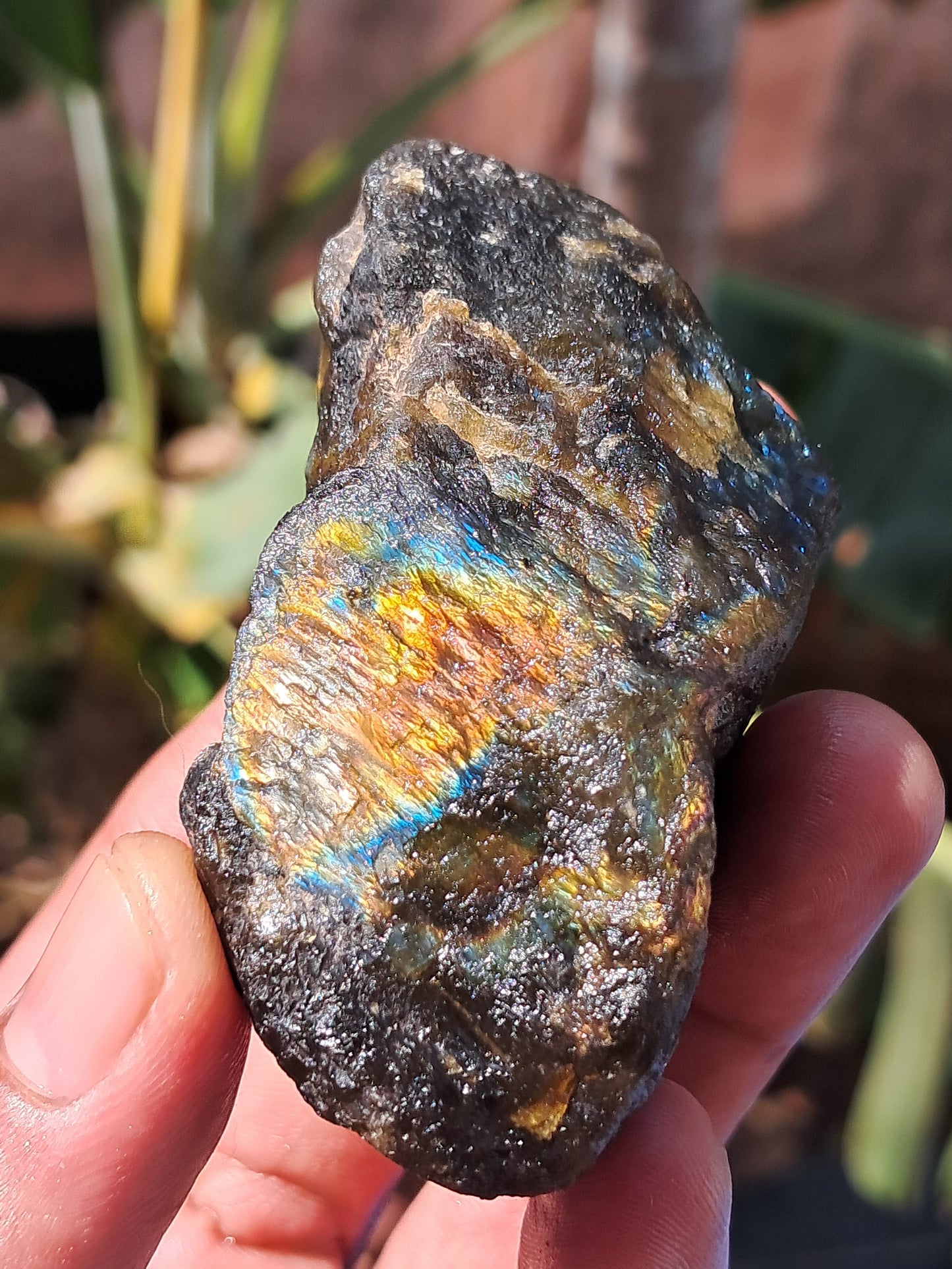 Labradorite Raw (Madagascar) | Strong Flash #LB8
